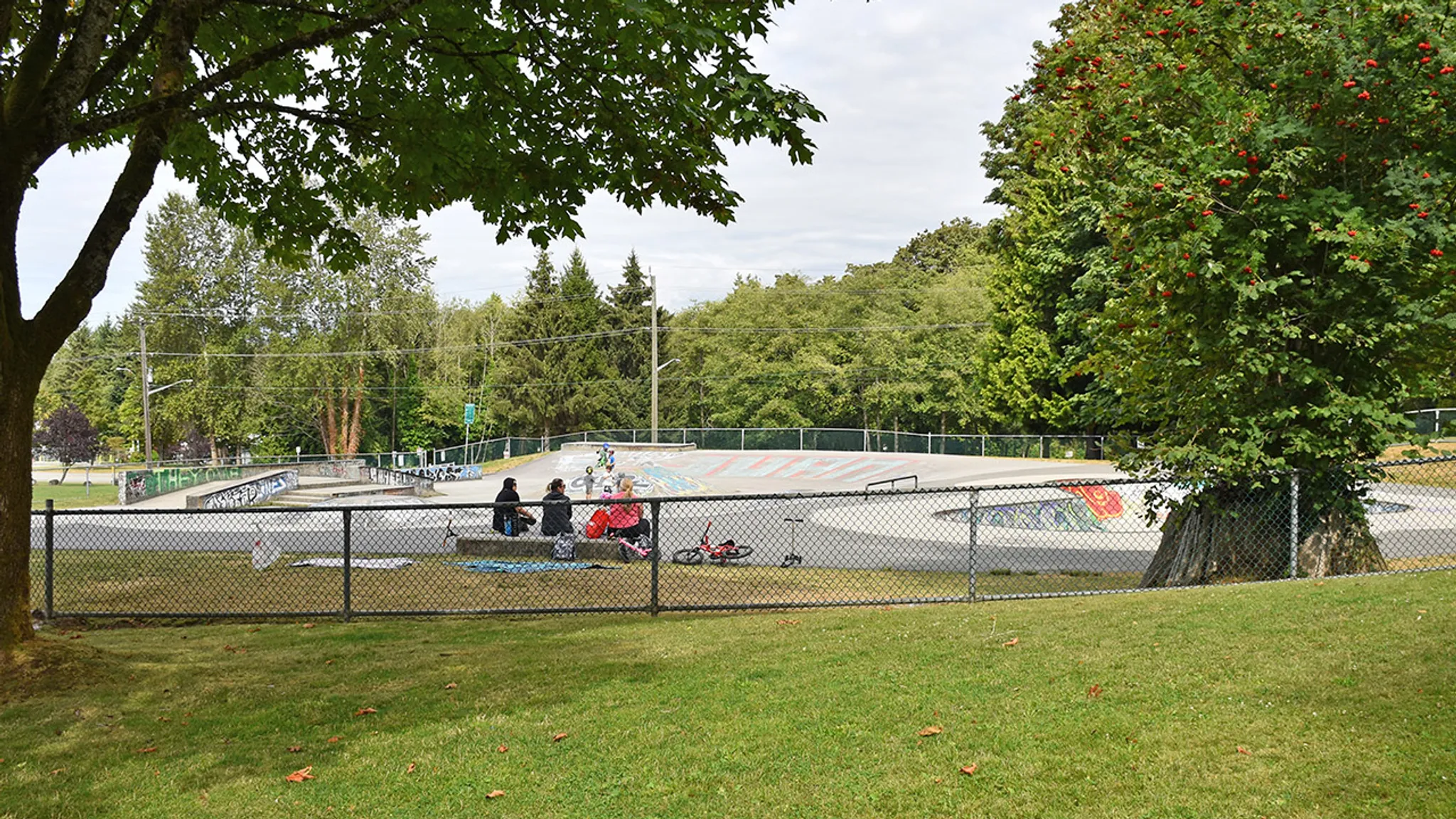 Confederation Skatepark