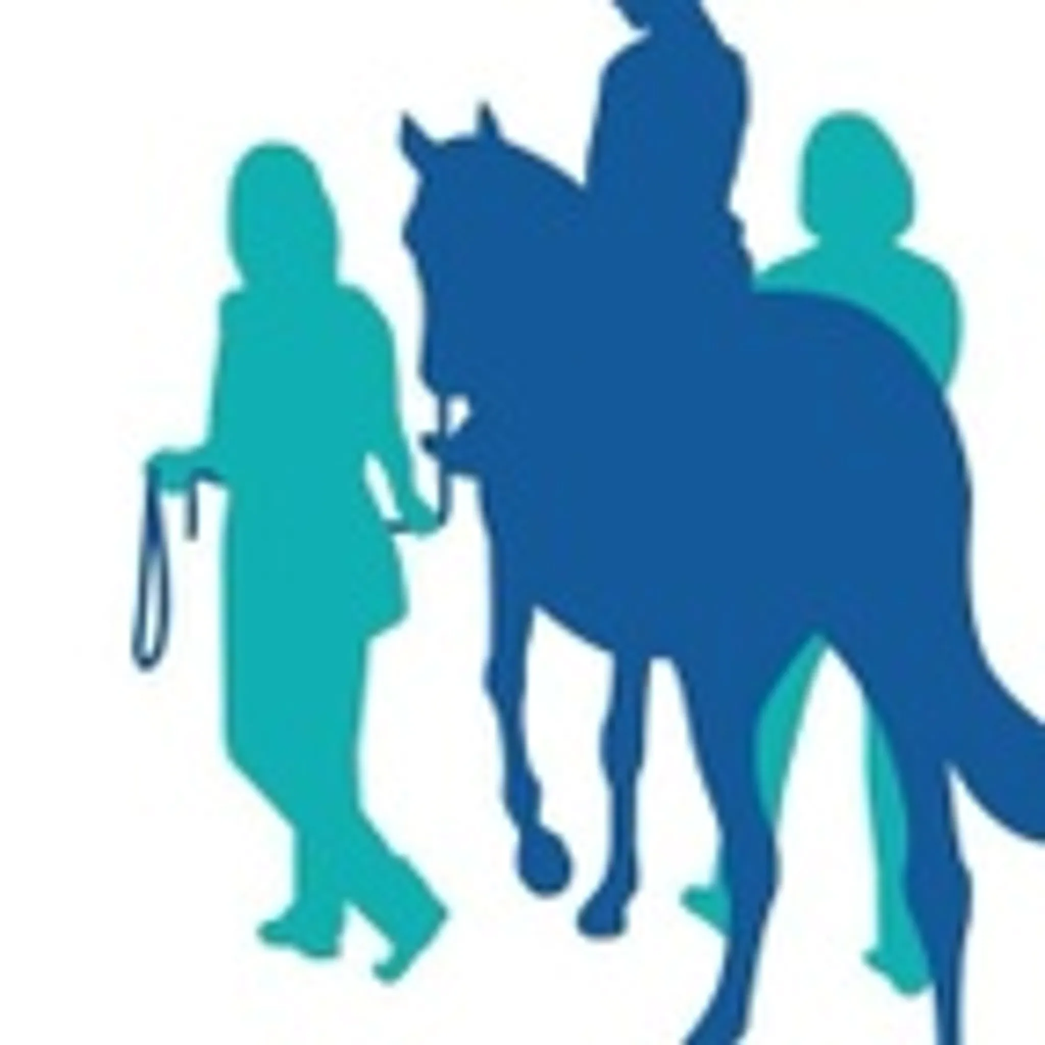 Barnsley Riding for the Disabled Association