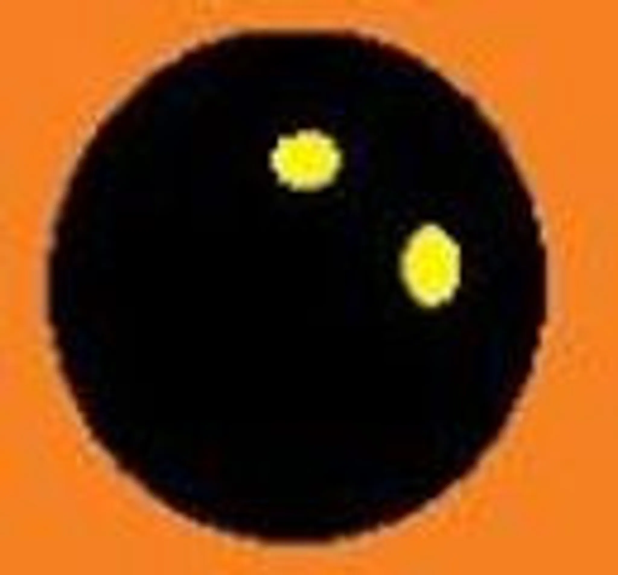 Squash Park Orléans