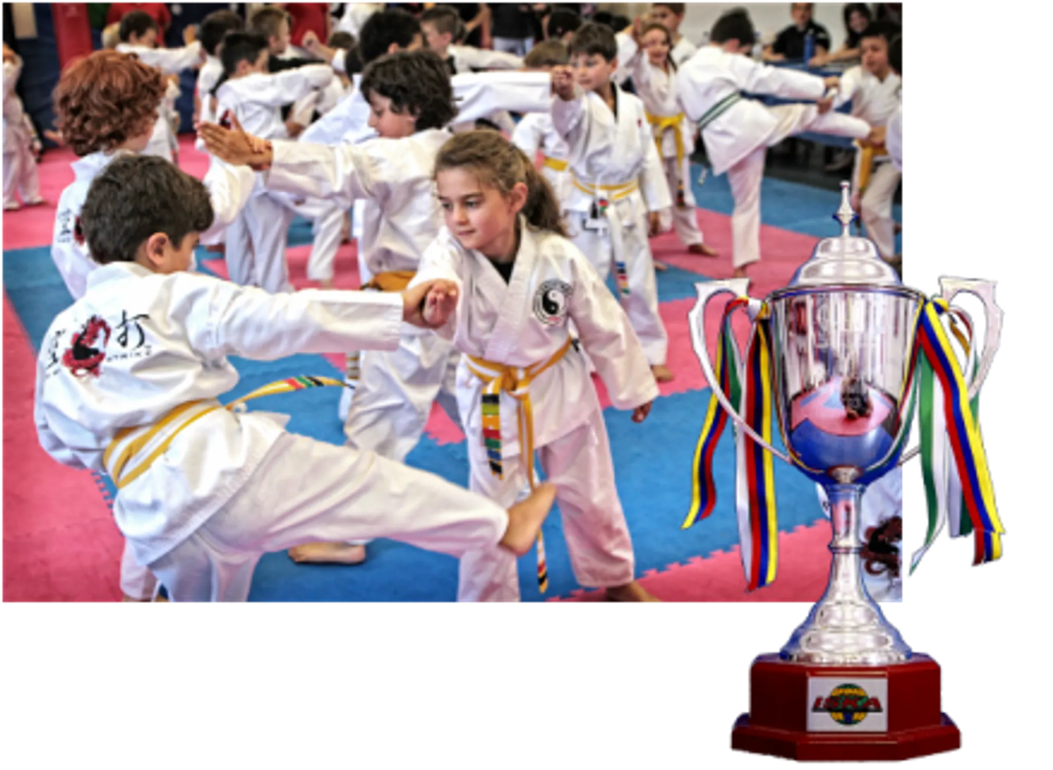 Aerostrike Combat Programs