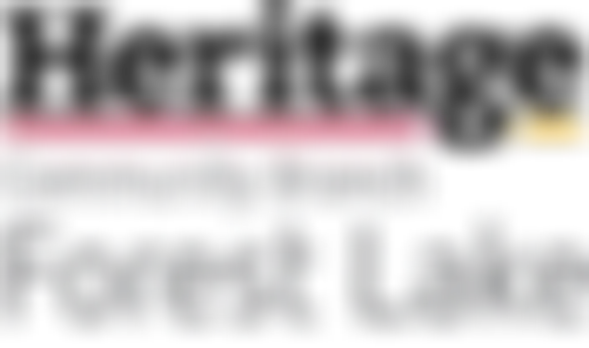 WPC Cricket (Wolston Park Centenary Cricket Club)