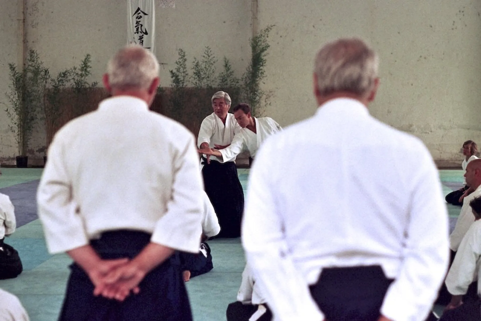 Fudoshin Aikido Cardiff