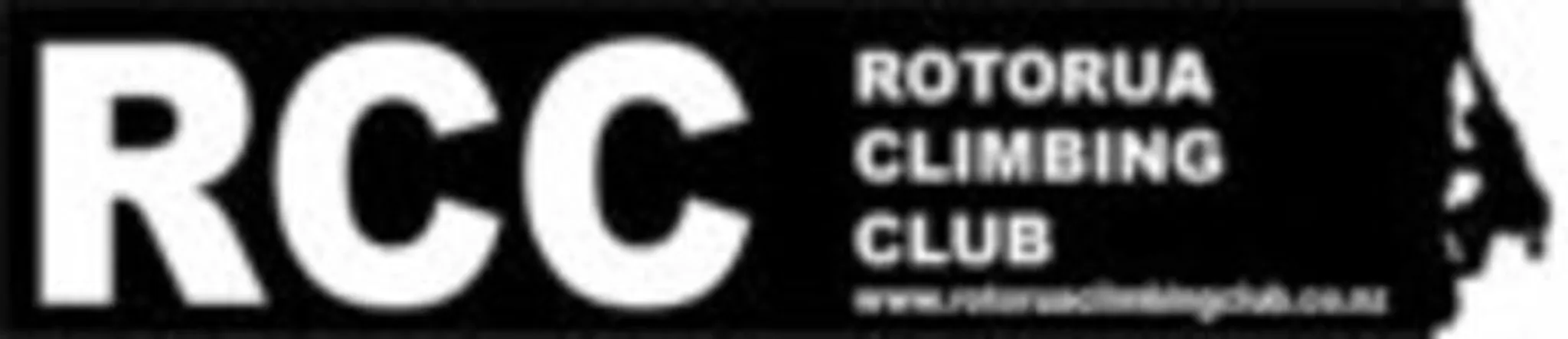 The Wall and Basement Cinema