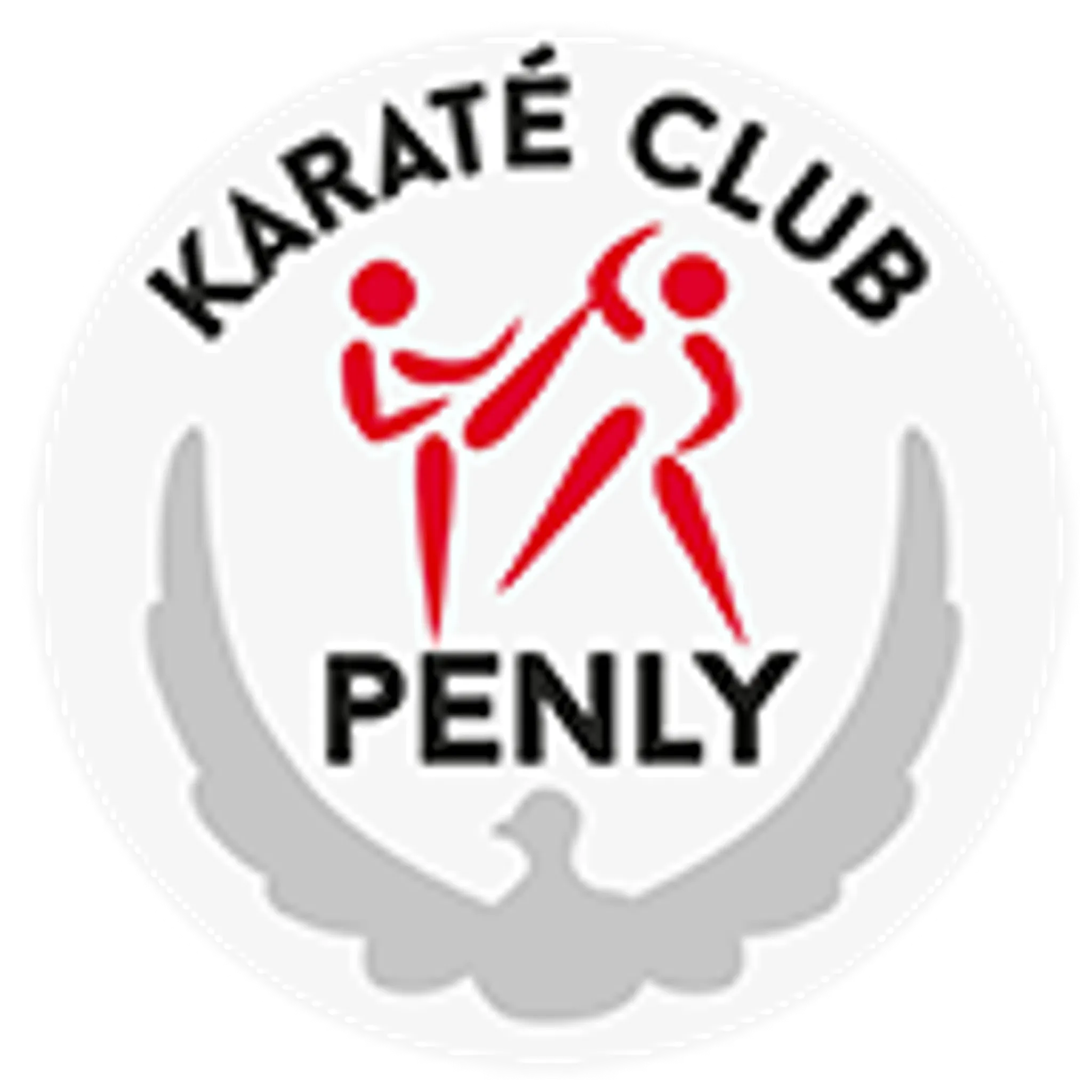 Karate Penly