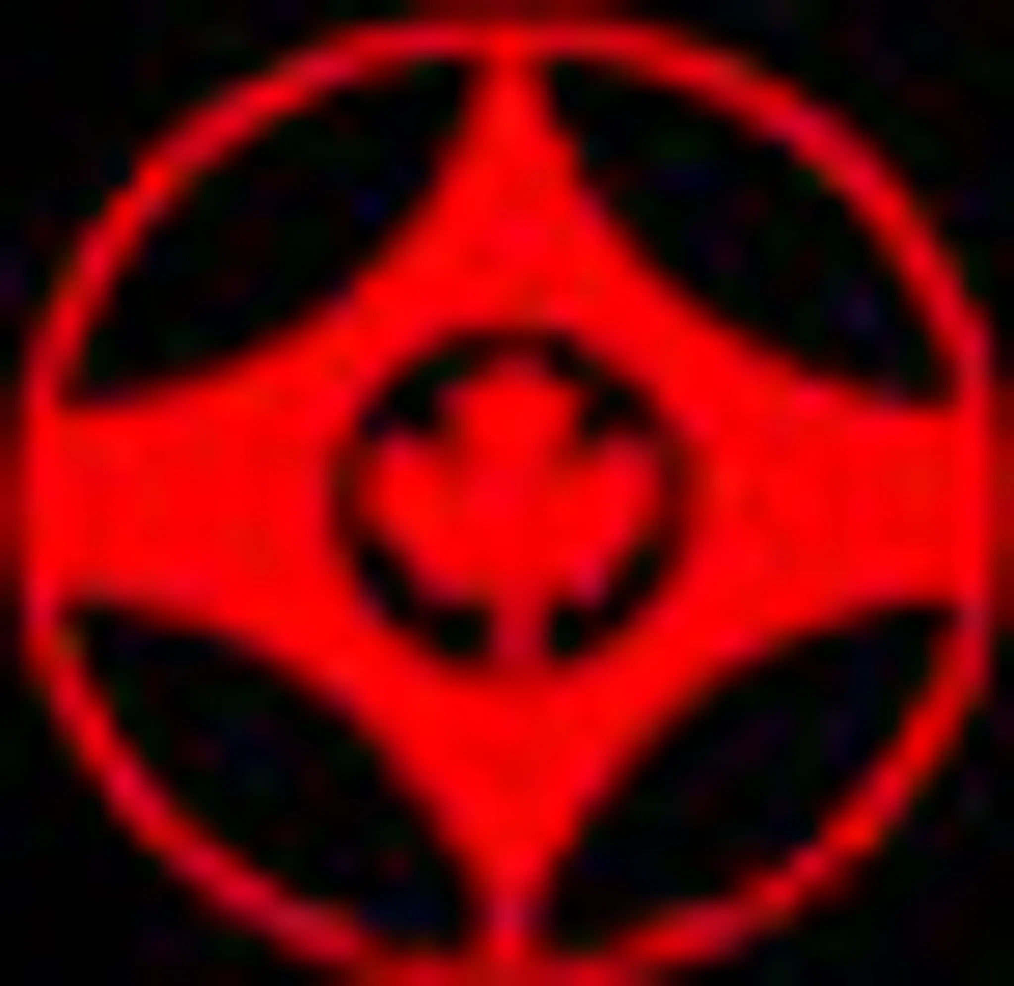 Langley Kyokushin Karate