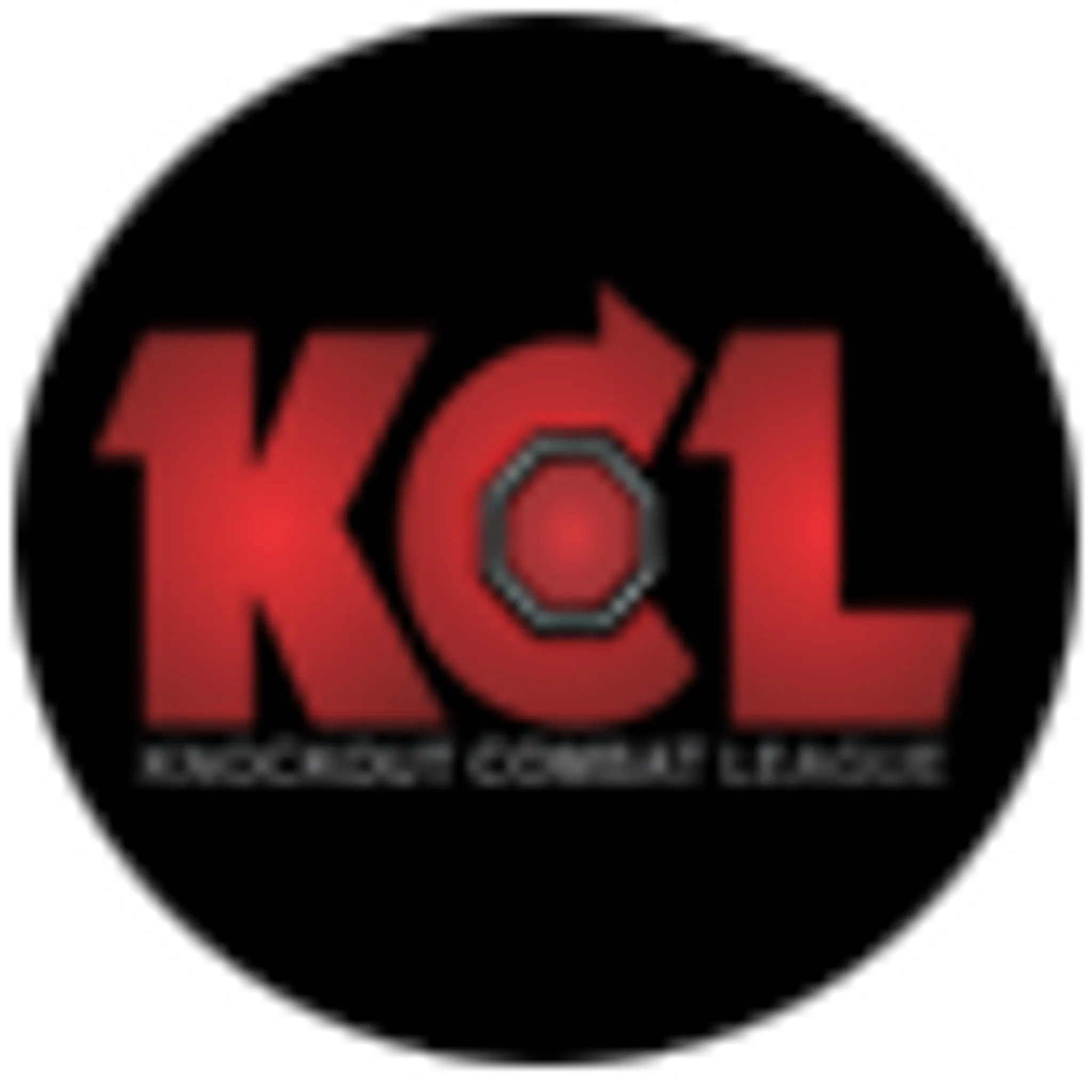 Knockout Karate Greater Noida