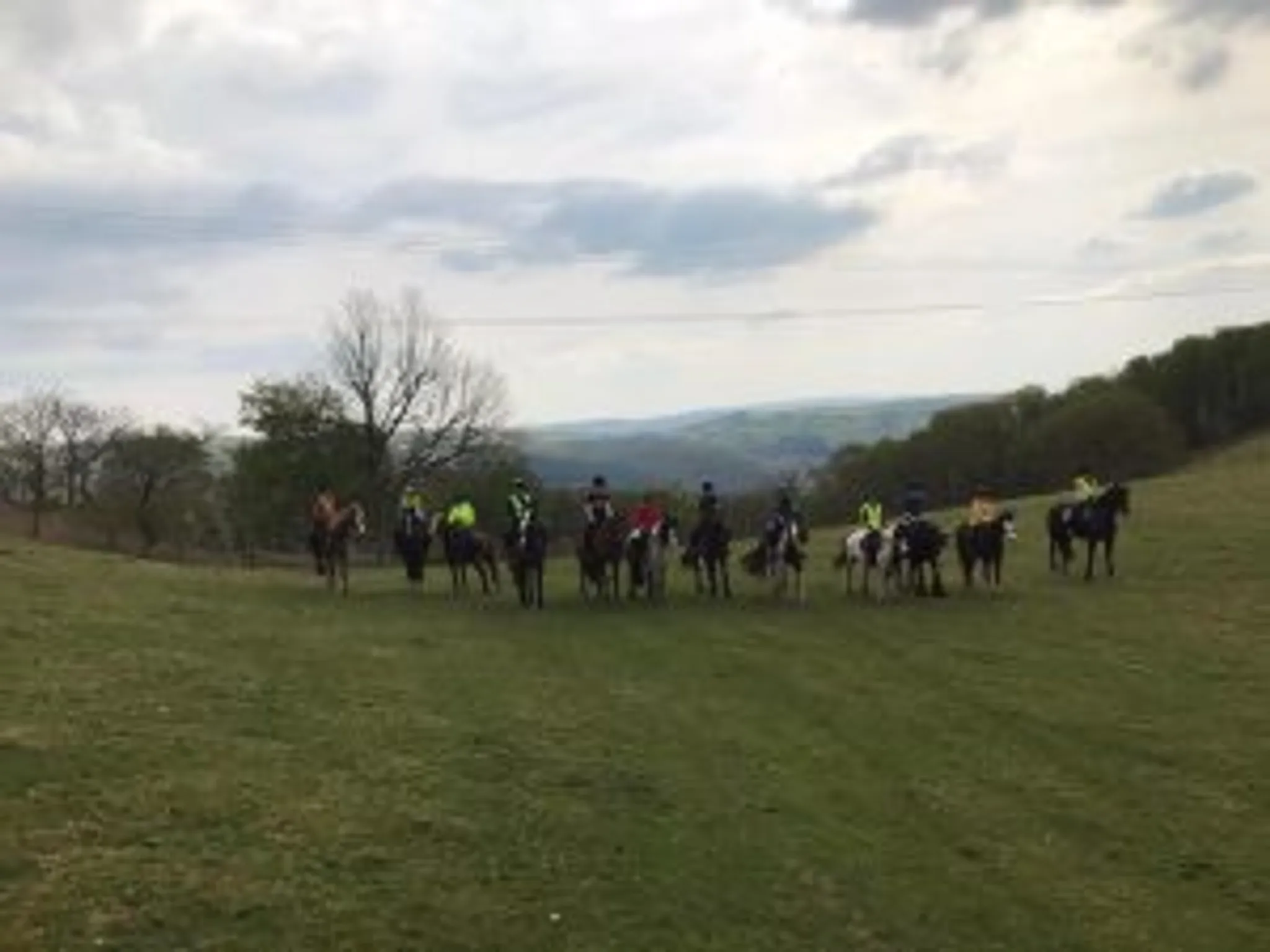 Rheidol Riding Centre