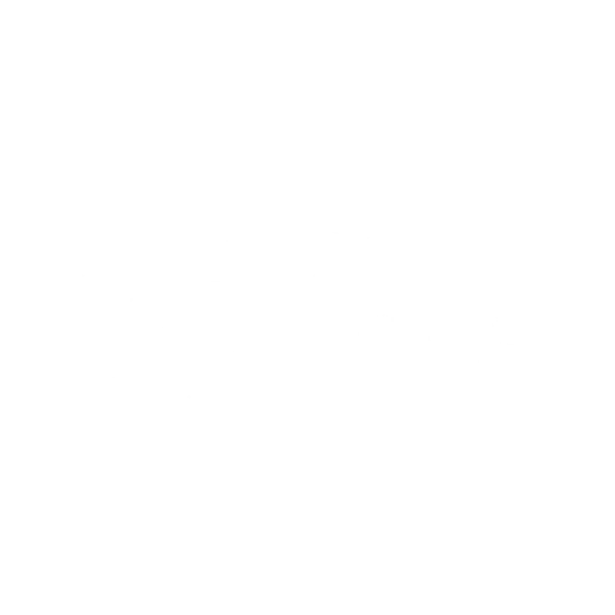 The Lame Duck