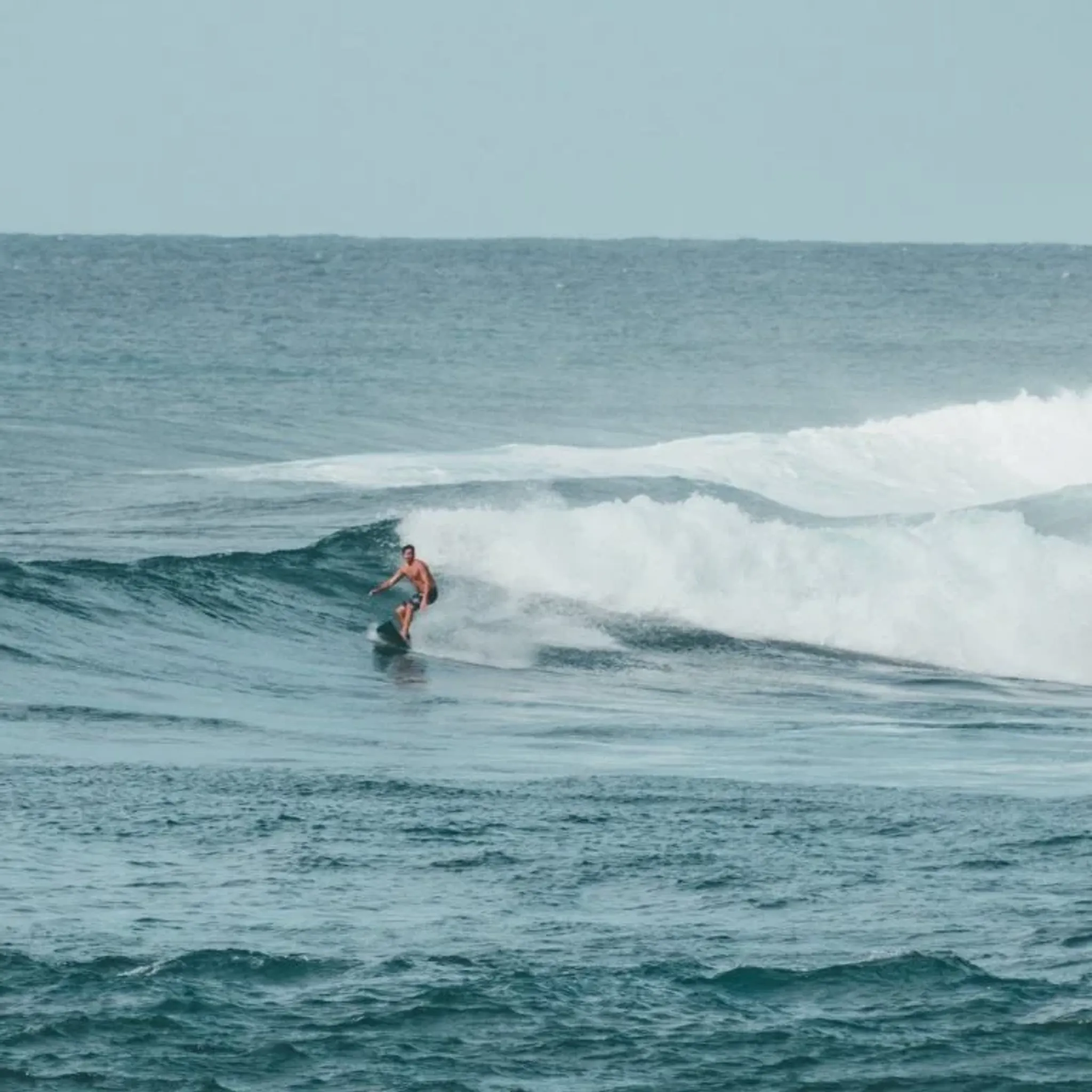 Capbreton Surf School, Ecole Française De Surf, Qualité Tourisme, Depuis 2003
