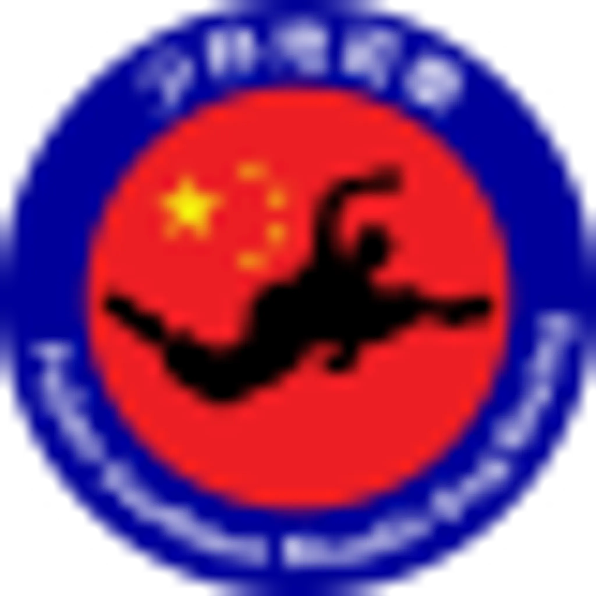 White Crane Fighting Arts - Tai Chi