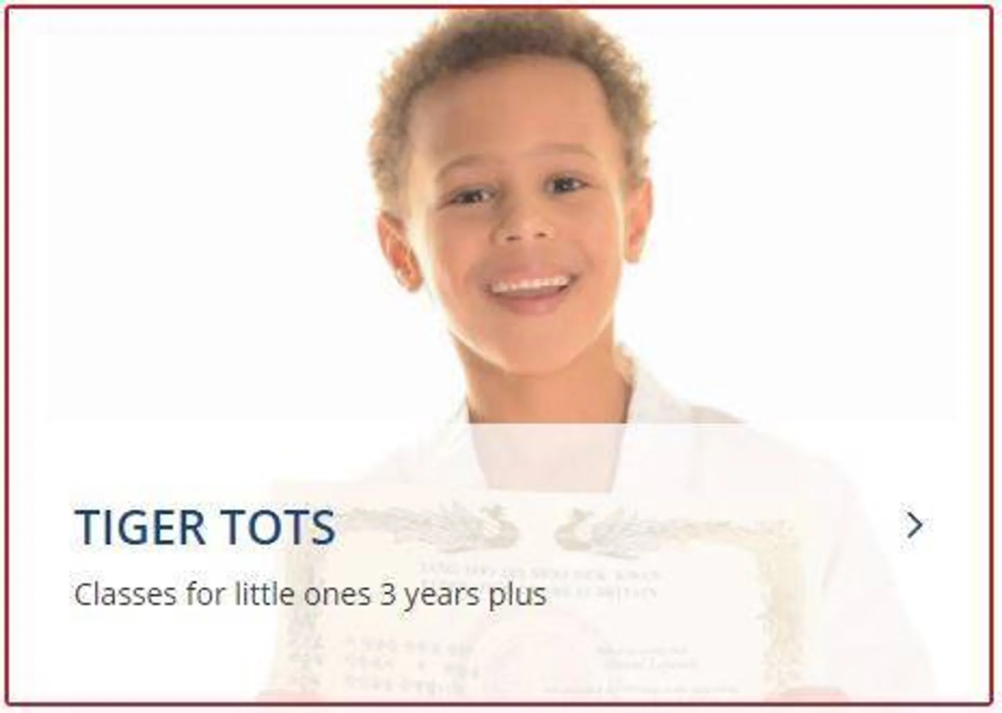 Family Martial Arts Centres