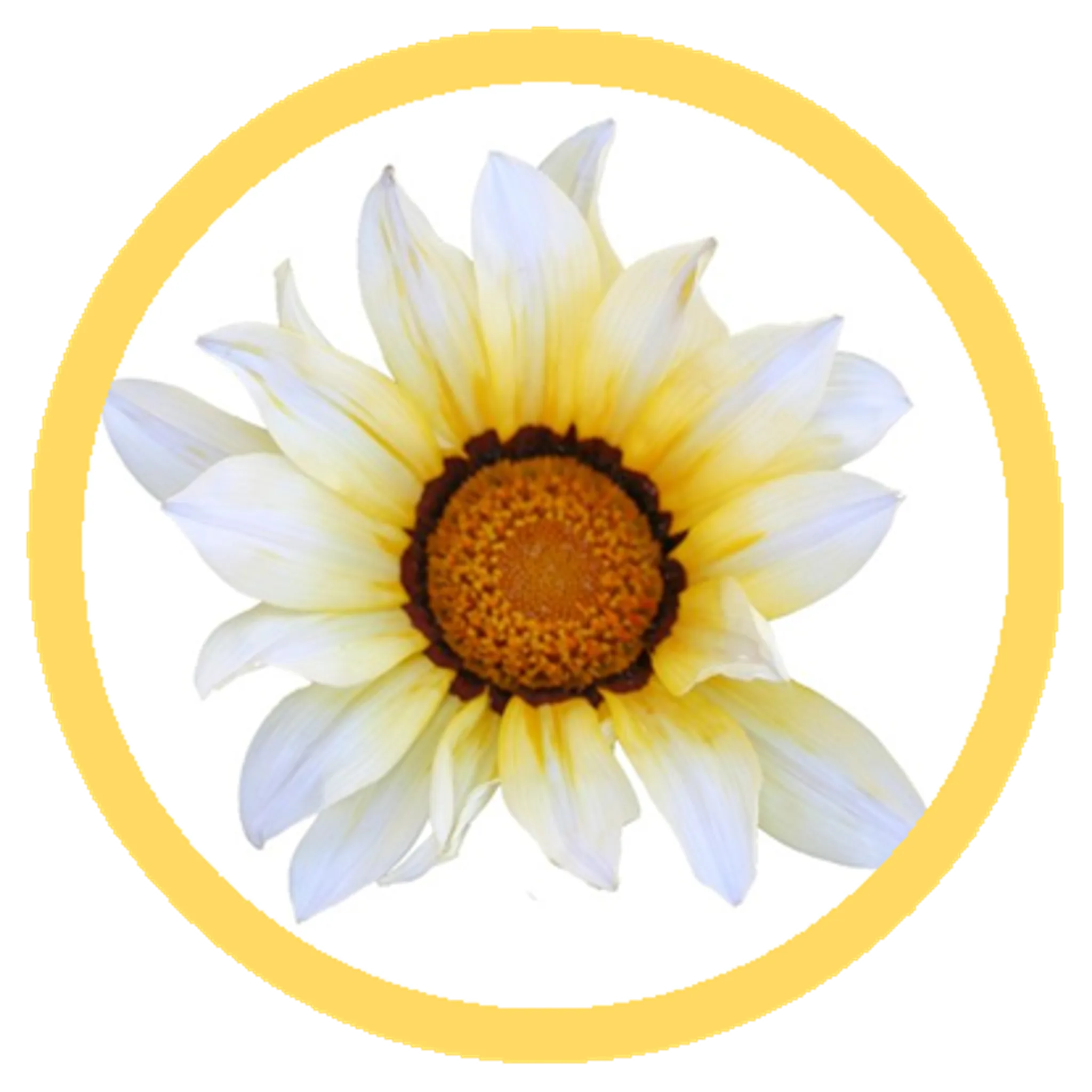 Gentle Beginnings Yoga