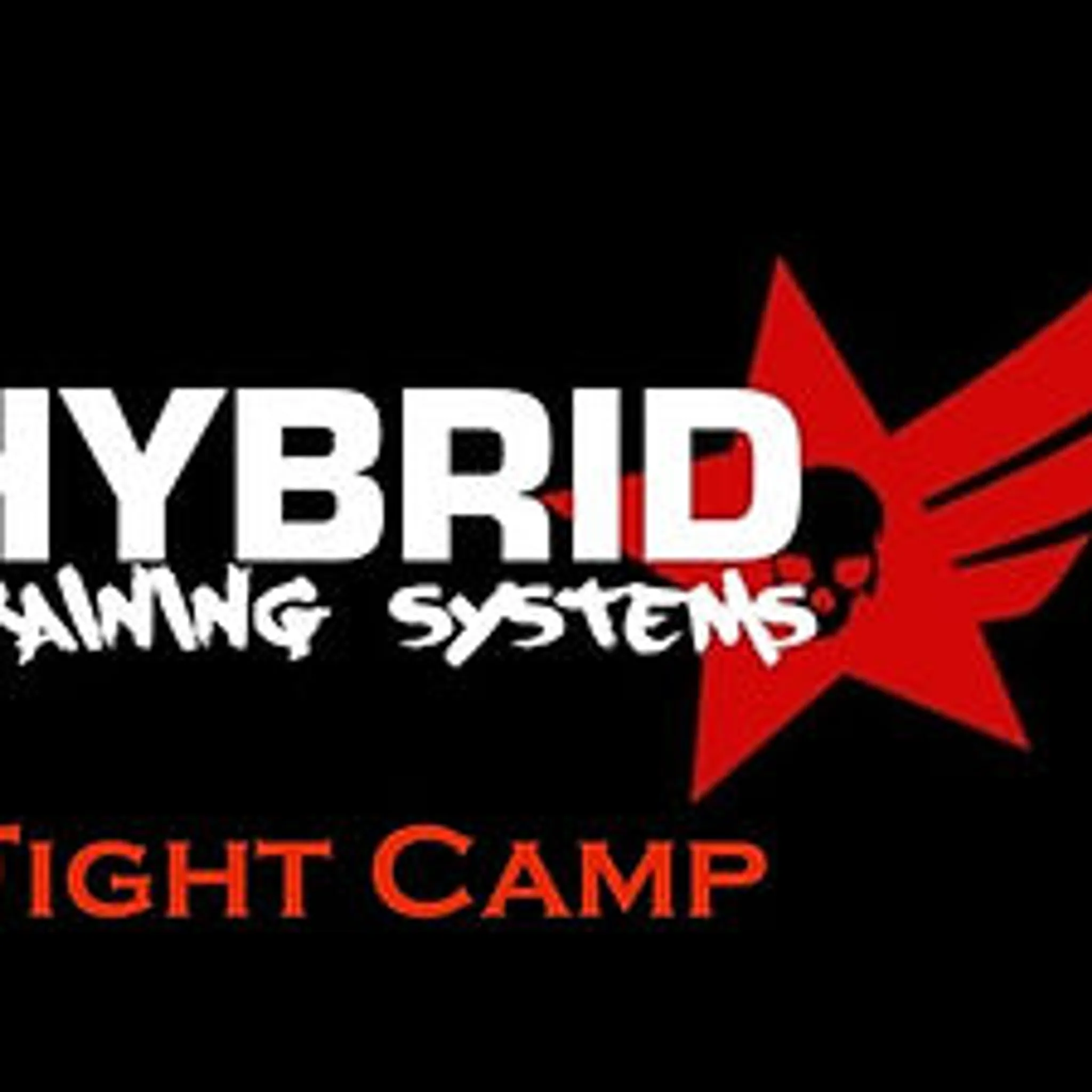 Hybrid Training Systems