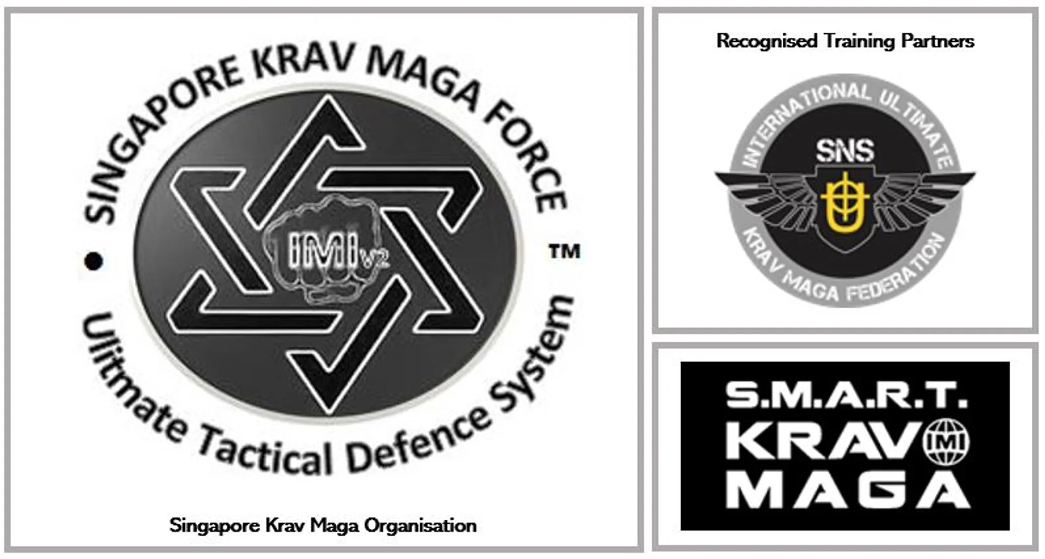 Singapore Krav Maga Force
