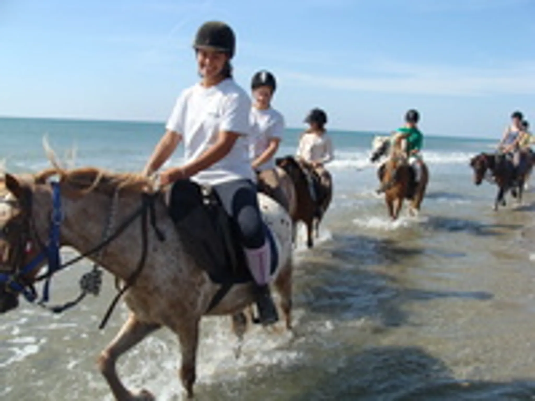 Concours de dressage amateur