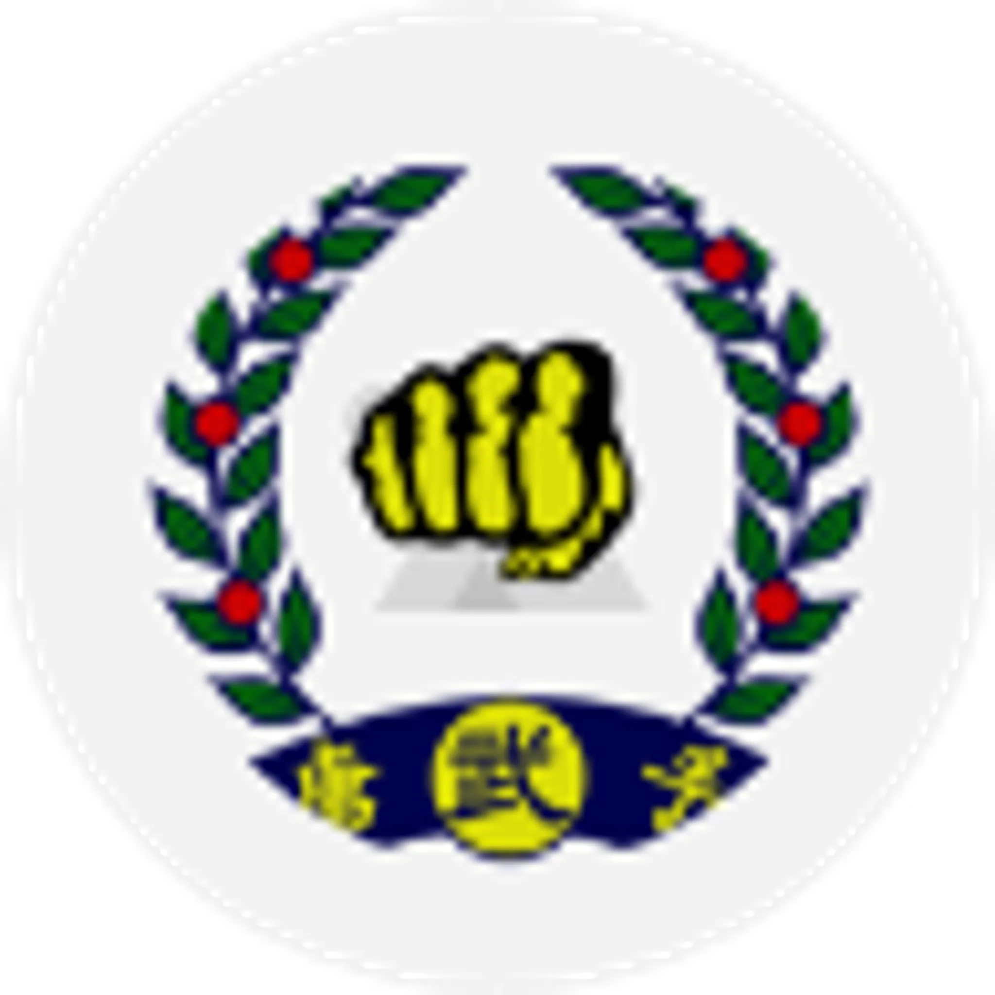 Tang Soo Do