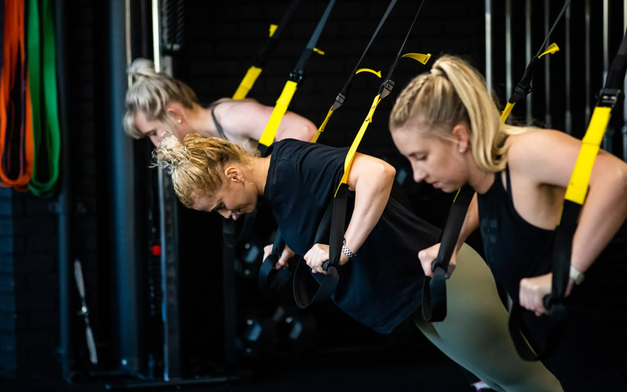 Victory Lap Fitness Cart