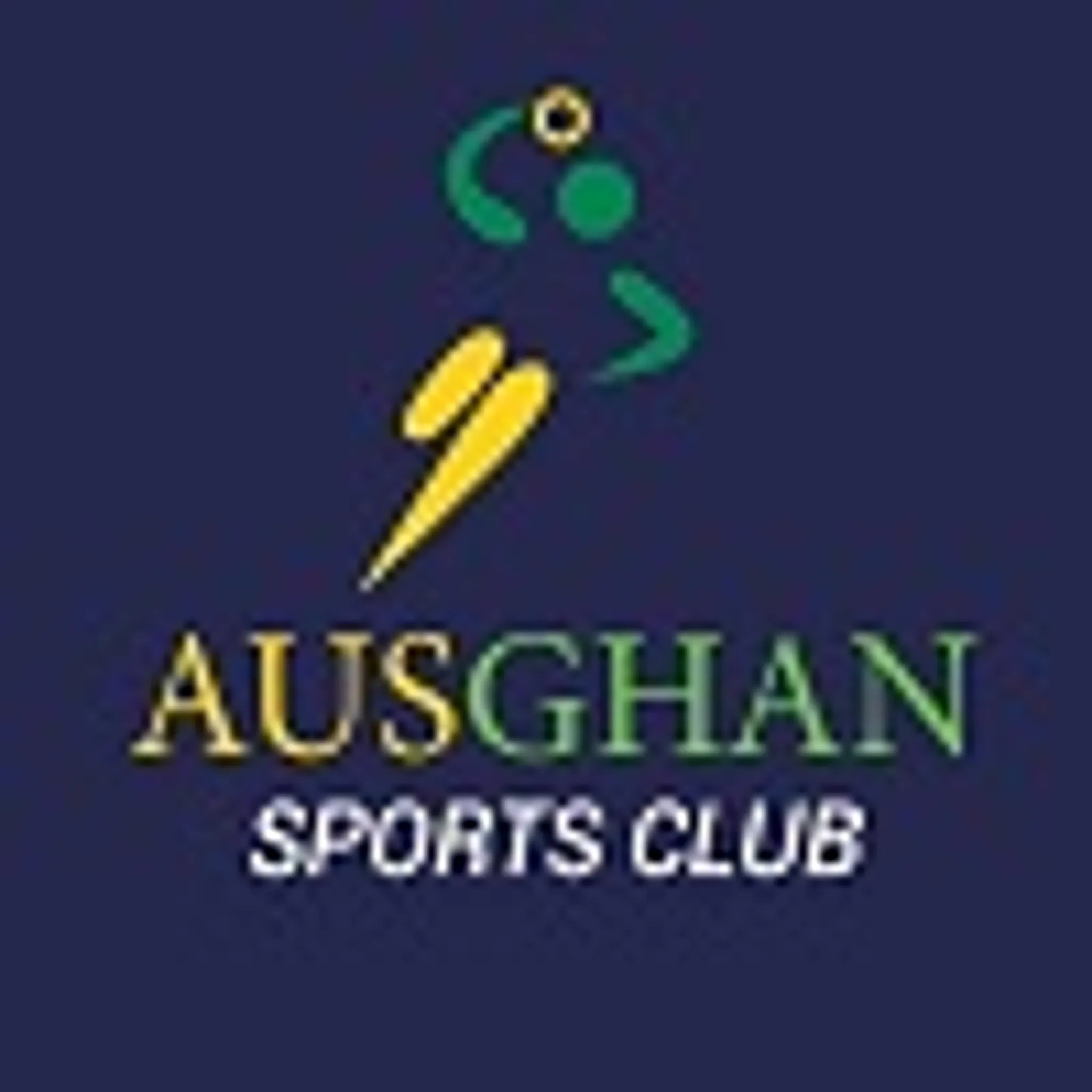 Volleyball Queensland