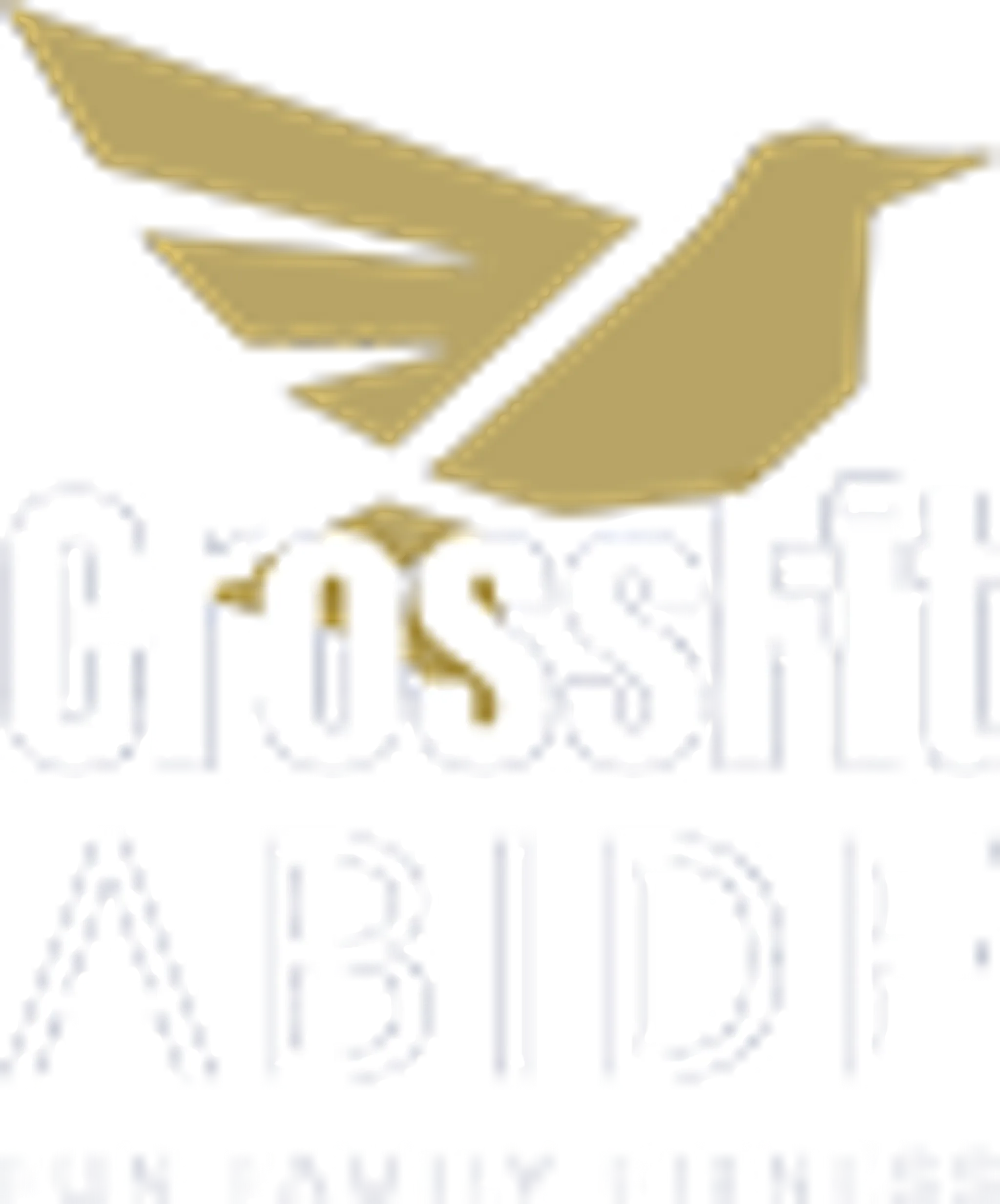 CrossFit Abide