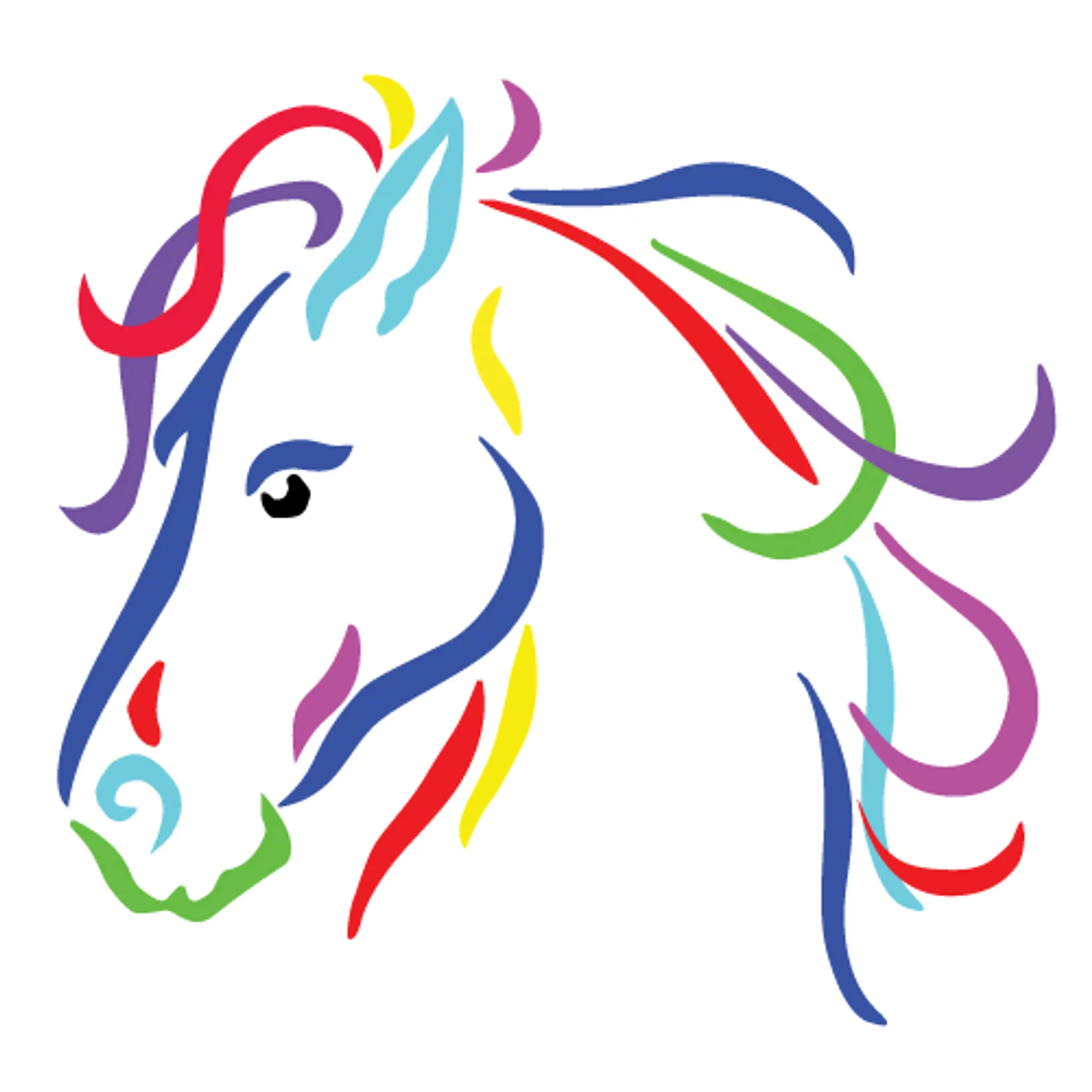 Rainbow Beach Country Horse Rides