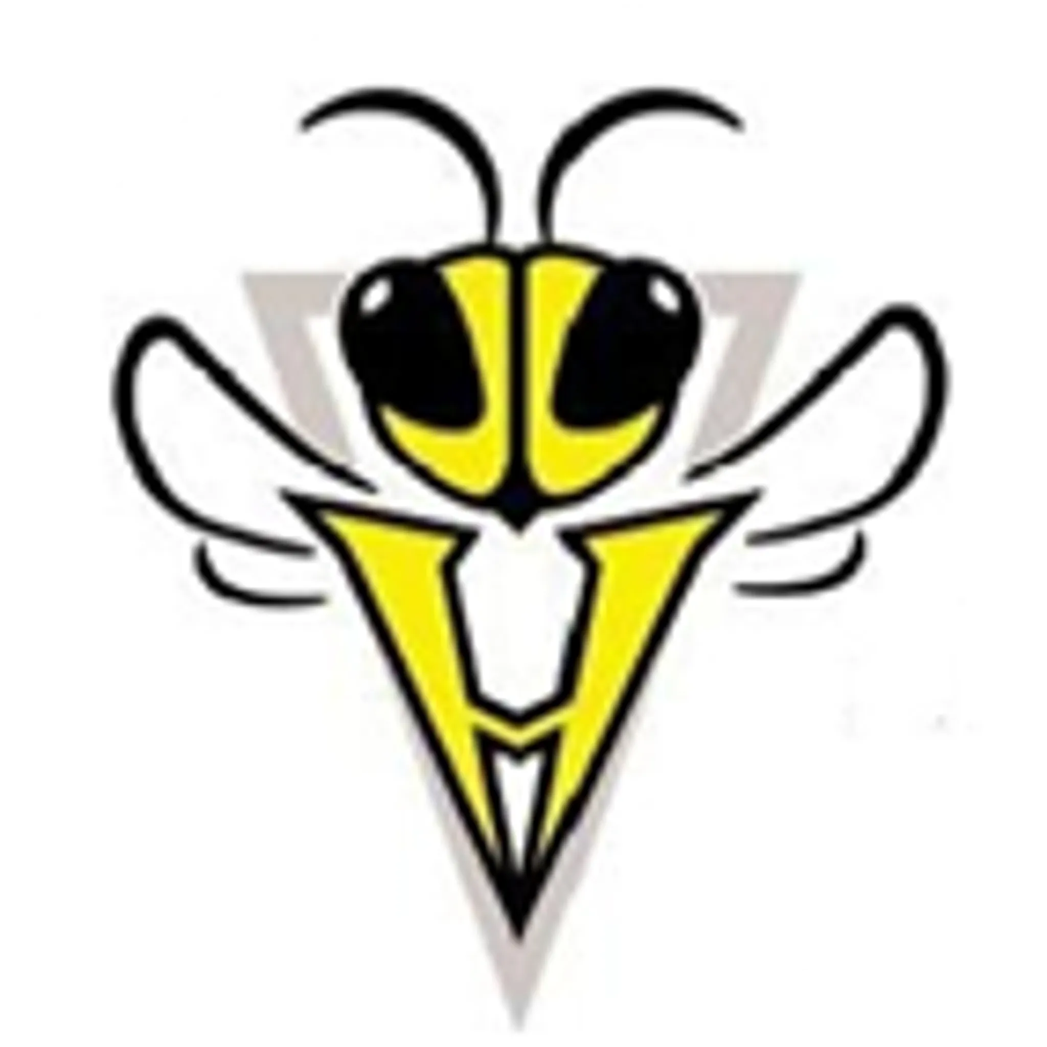 Holbrook Hornets Football Club