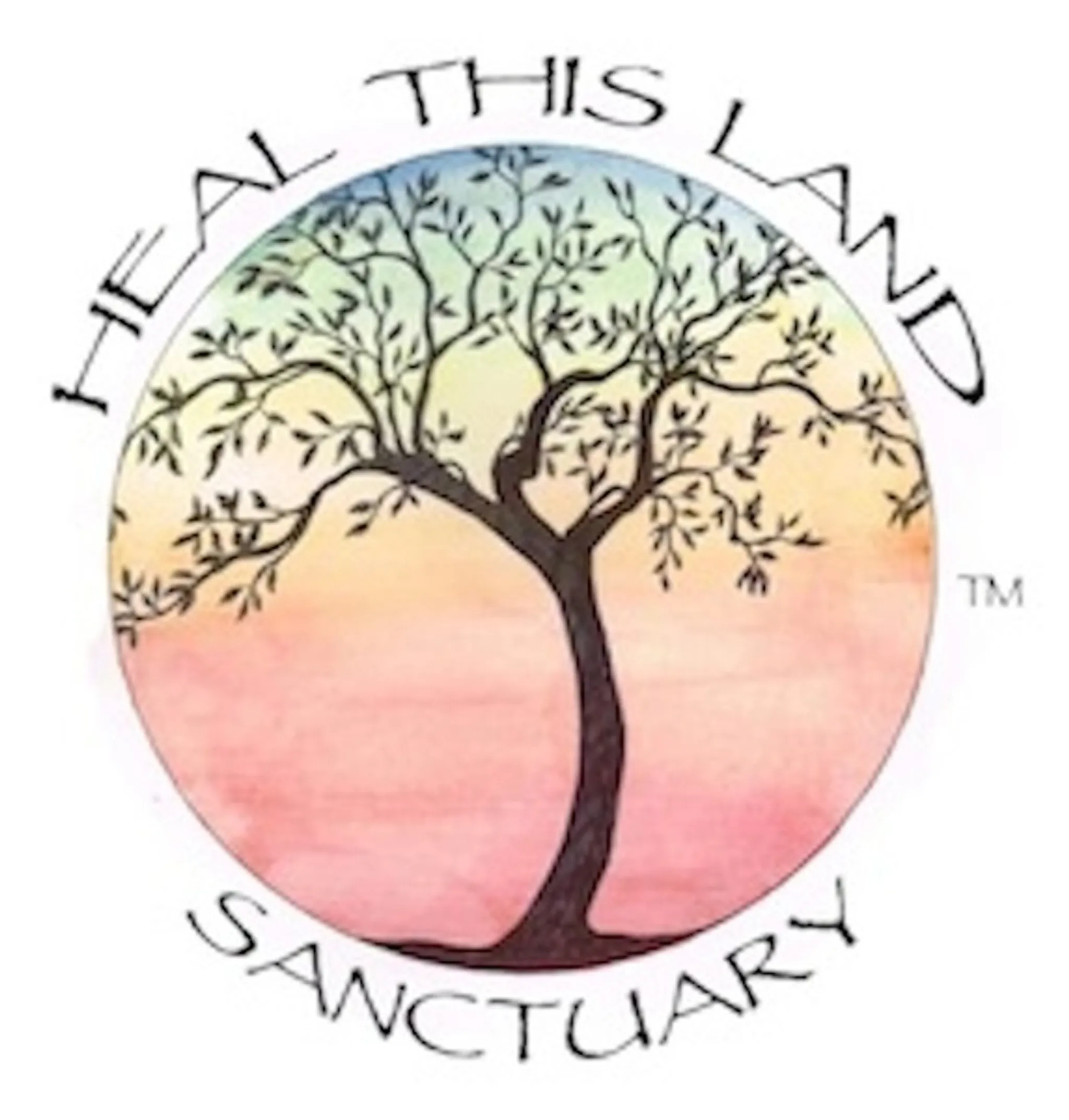 Heal This Land Yoga Studio