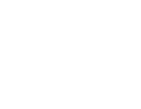 Salsa Attitude