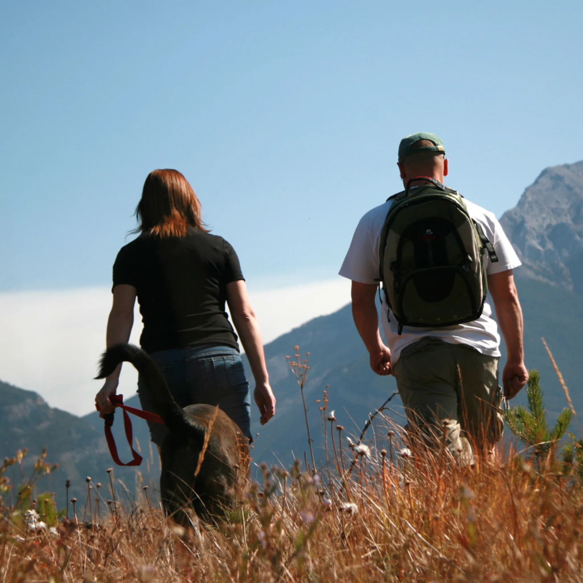 Public Works Week Meet & Greet + BBQ
