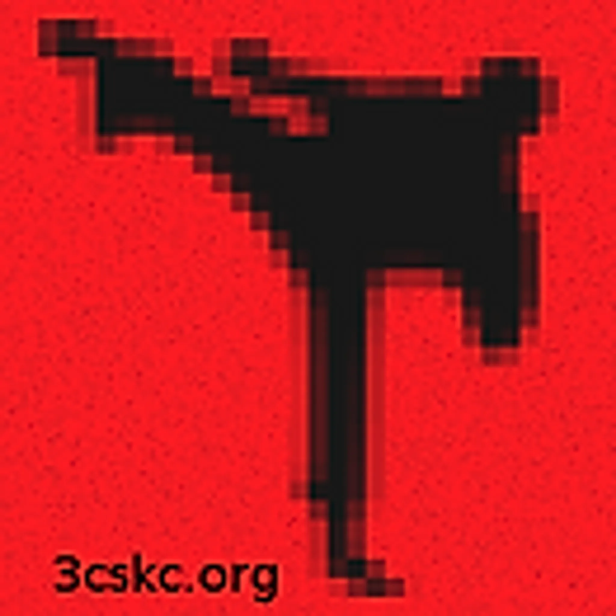 3 Counties Shotokan Karate Club