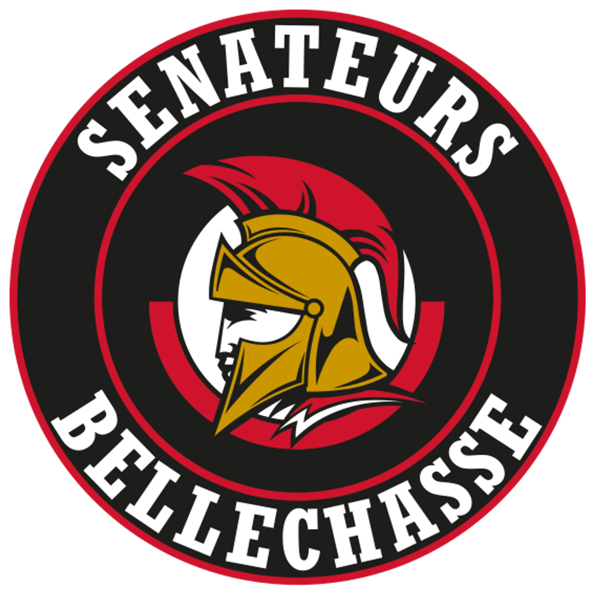 Hockey mineur Bellechasse inc