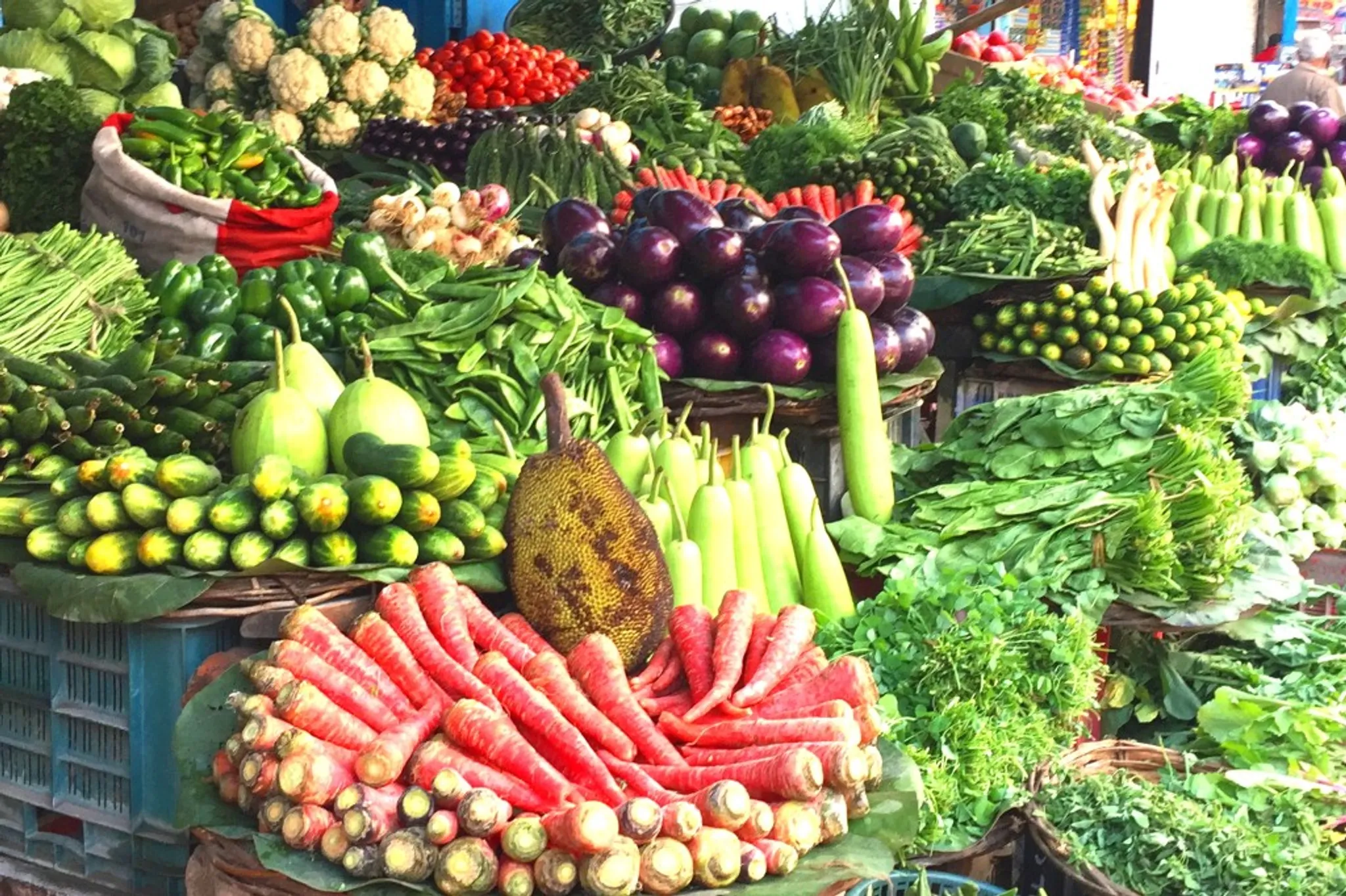 NZ Yoga Centre with Sadhana Yoga