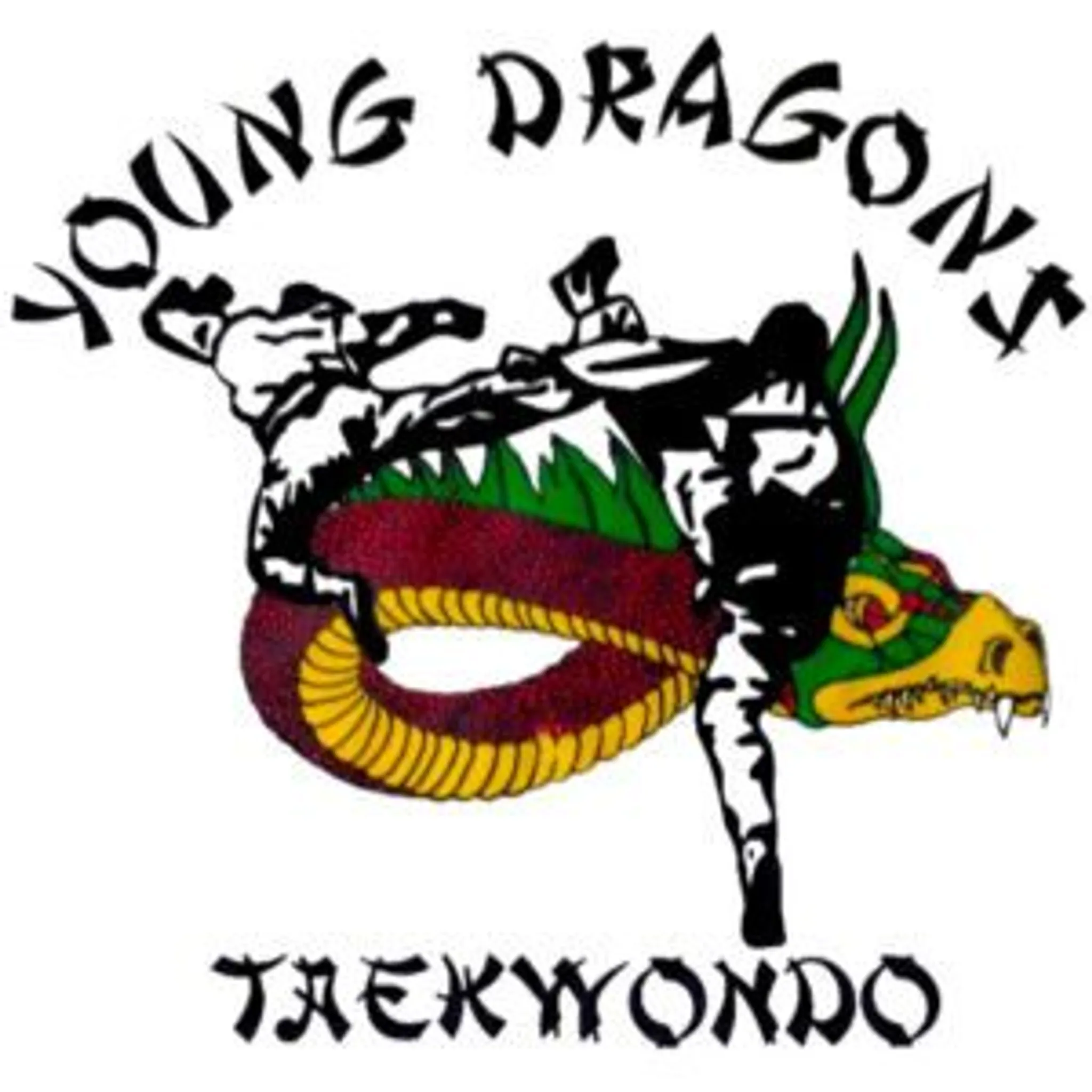 Young Dragons Taekwondo