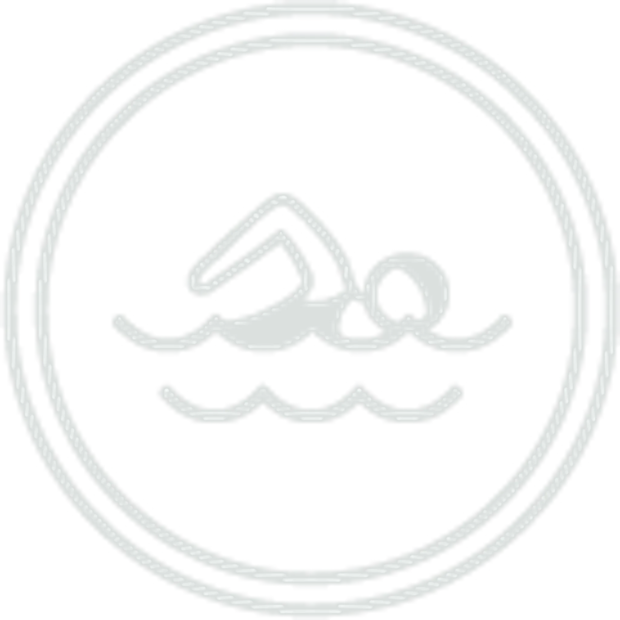 Belfast sharks swimming club