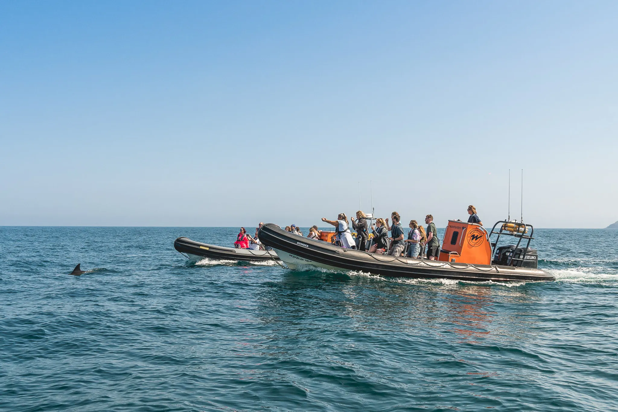 Wavehunters Surf School