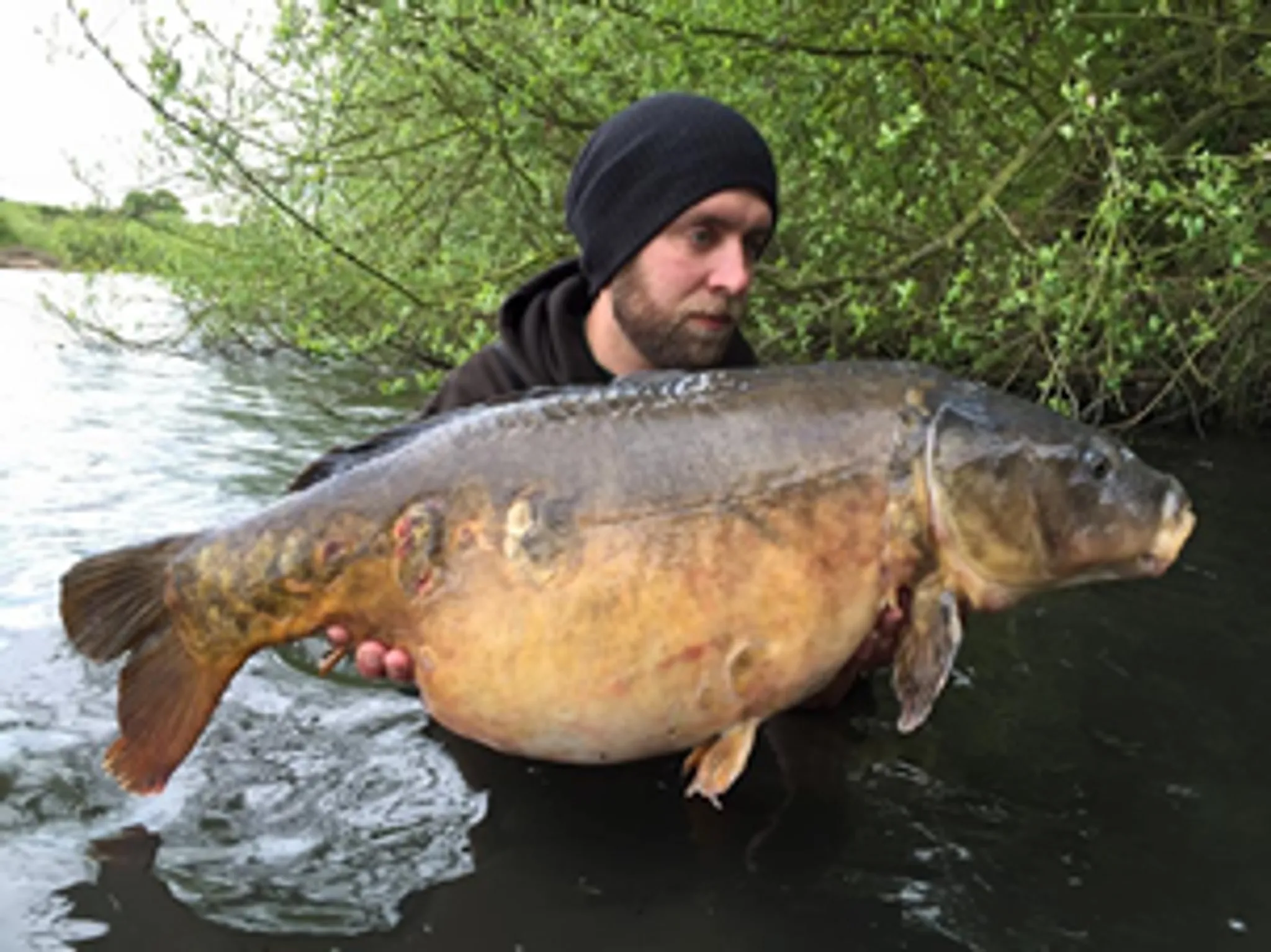 Swarkestone Syndicate