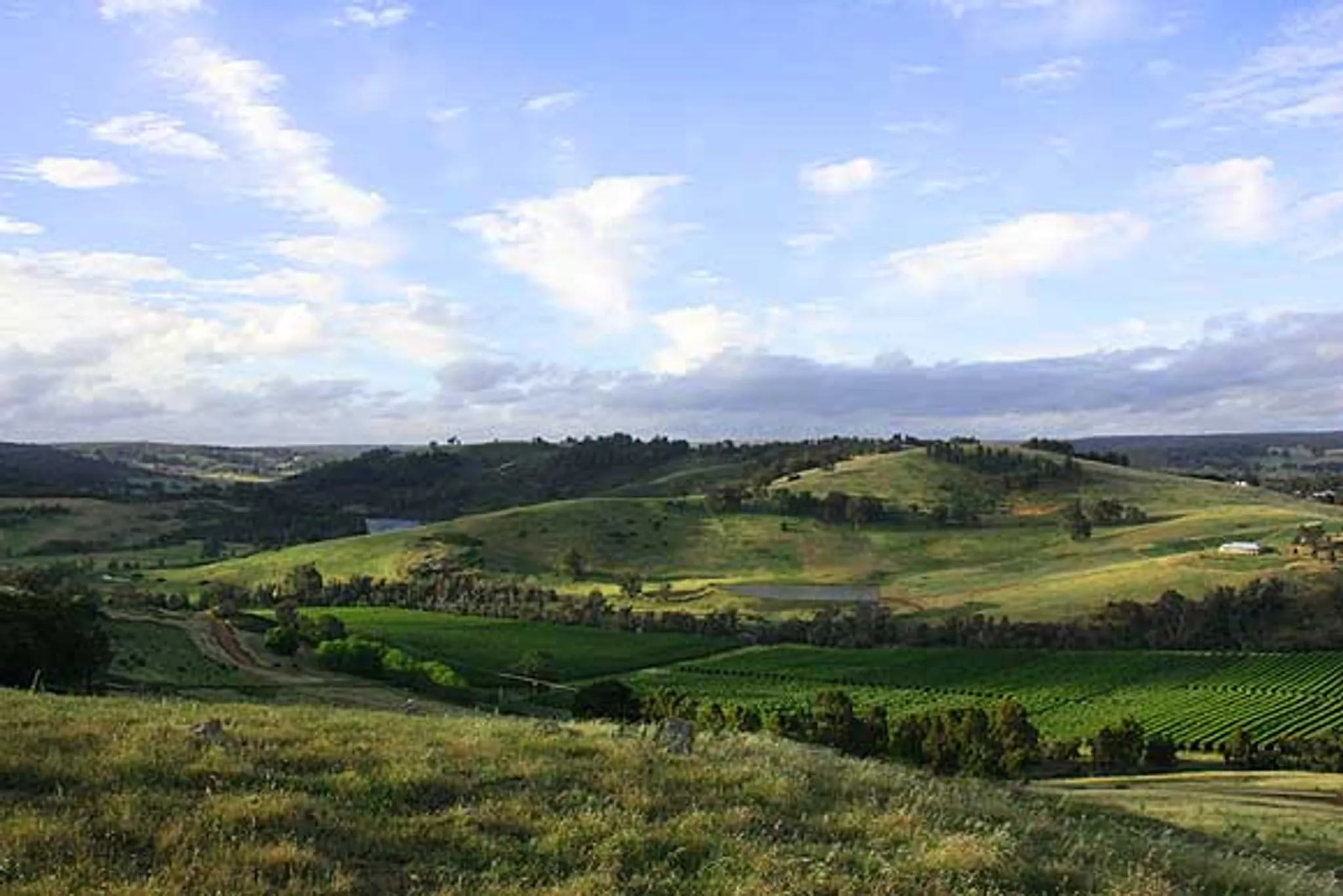 Telling Tales in Balingup