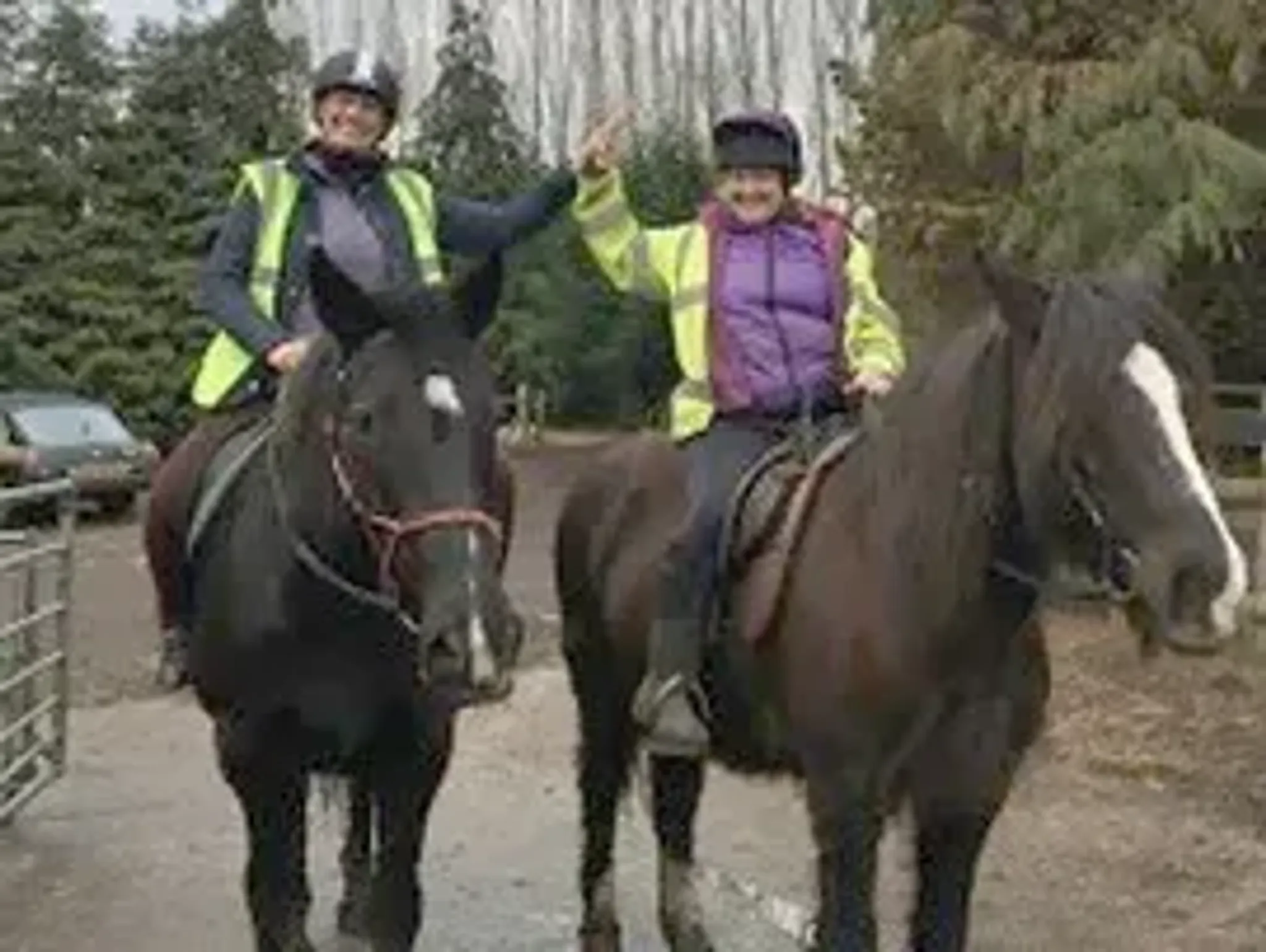 Children's Riding Lessons