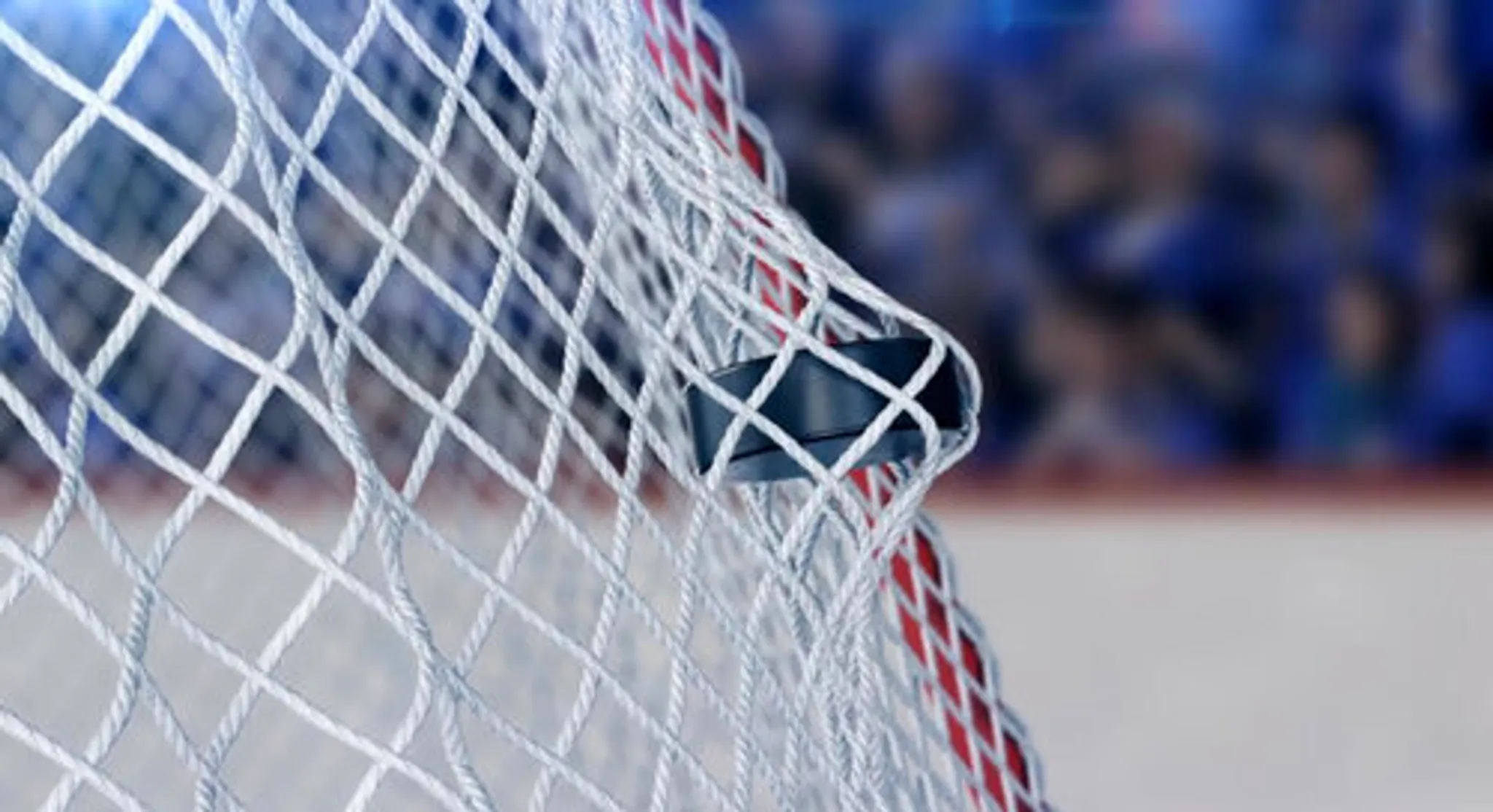 Fort Hockey Development