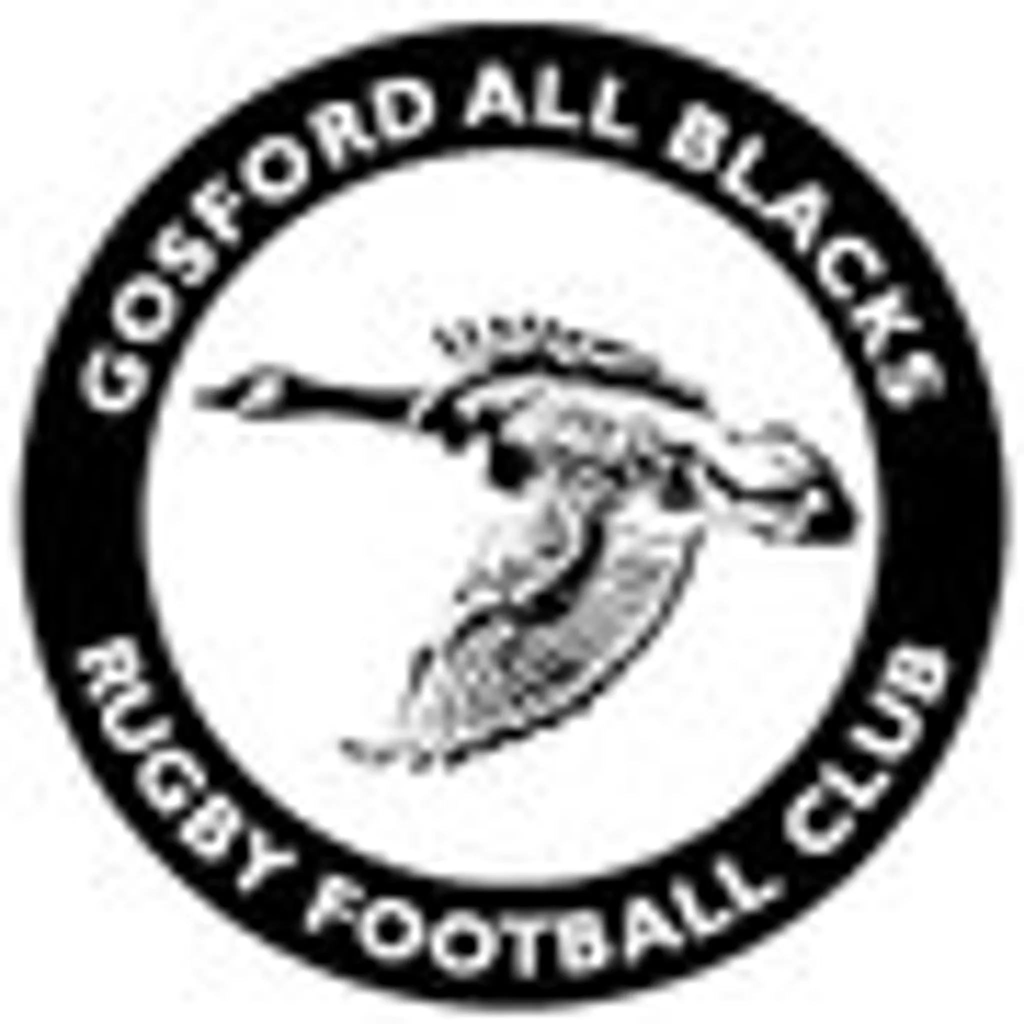 Gosford All Blacks RFC