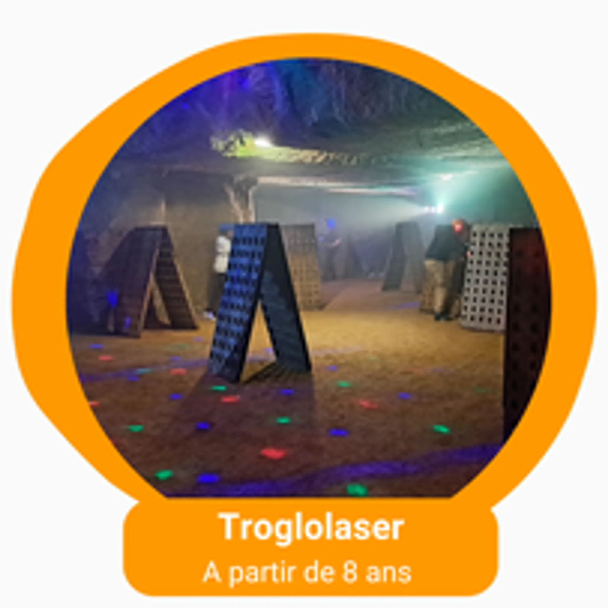 Saumur Forest Aventures