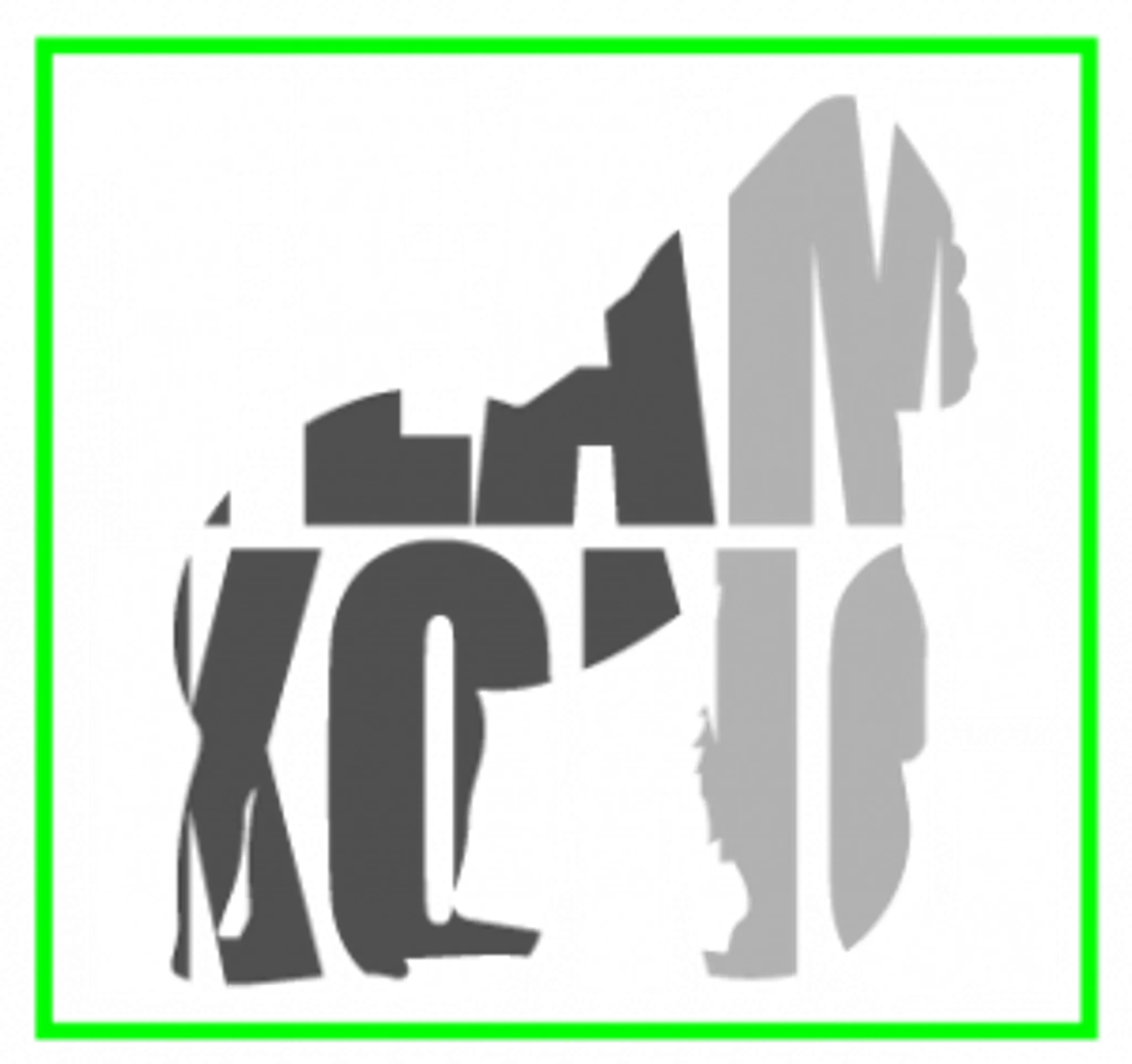 TEAM KONG COACHING