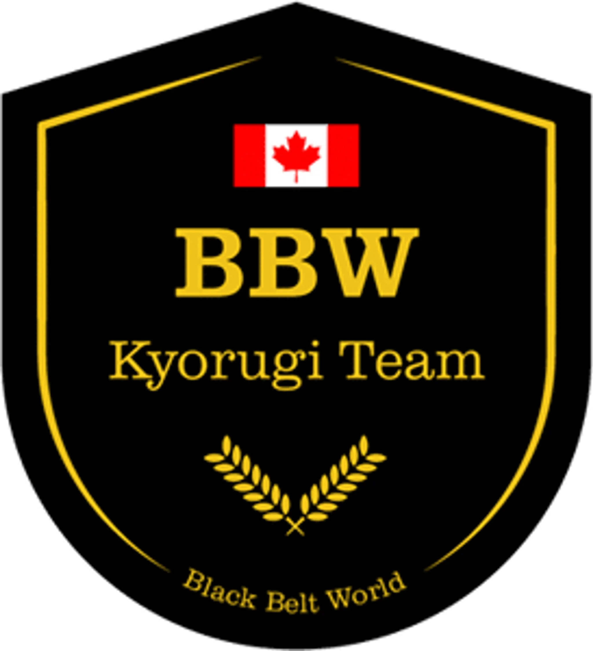 Black Belt World . Burlingtons Best Taekwondo , Martial Arts And After School Program