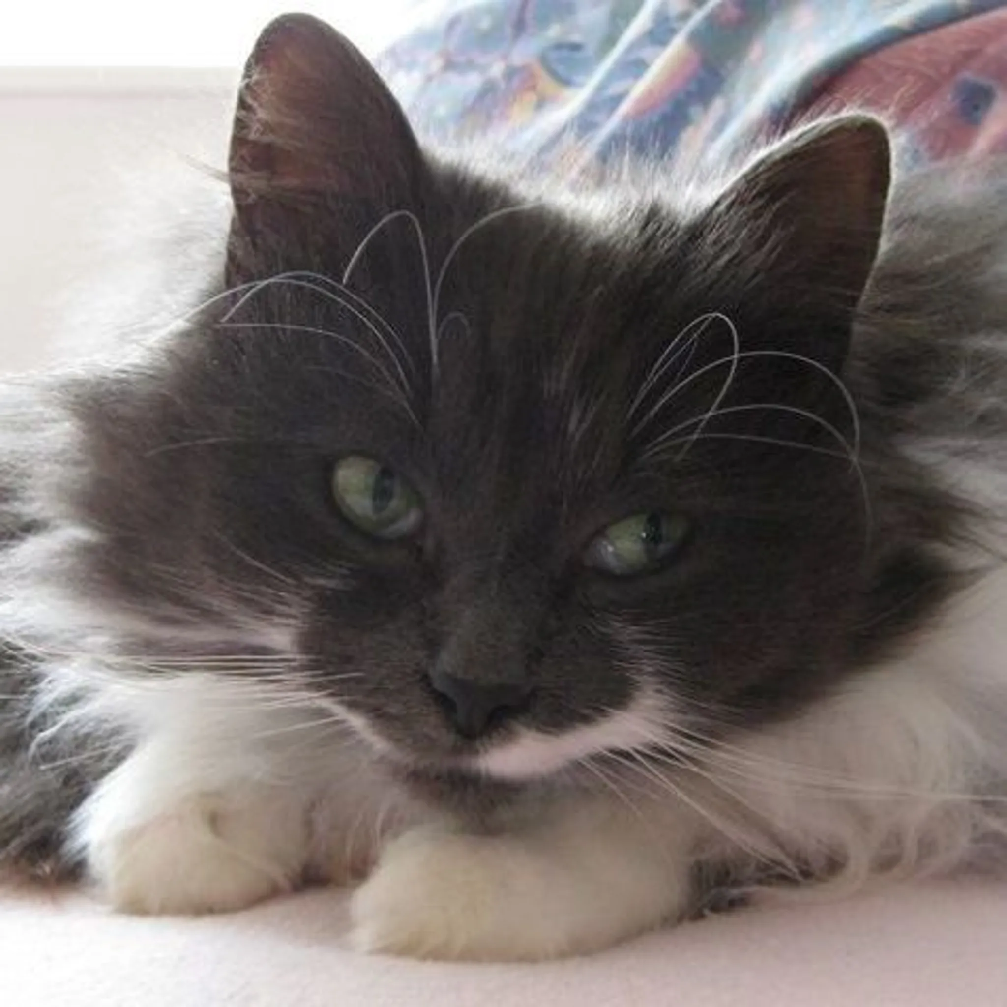 Style Pilates - Cheltenham