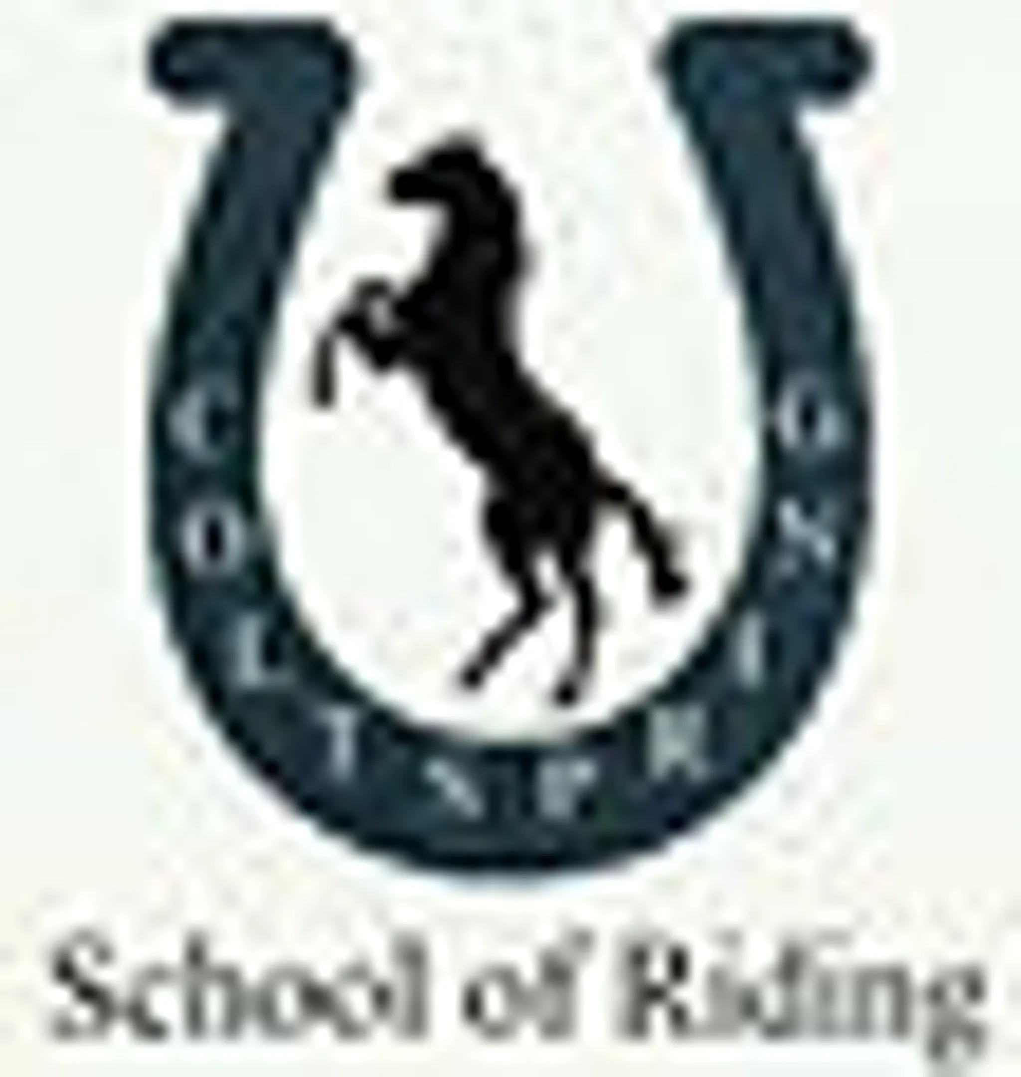 Coltspring School Of Riding