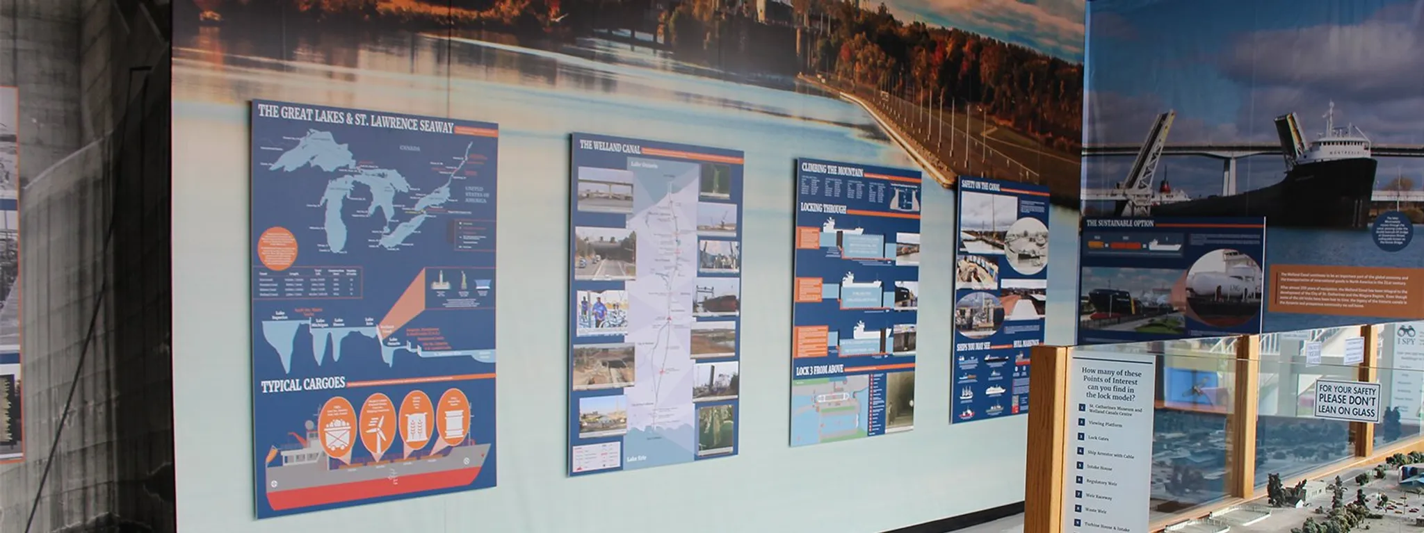 Lion Dunc Schooley Pool