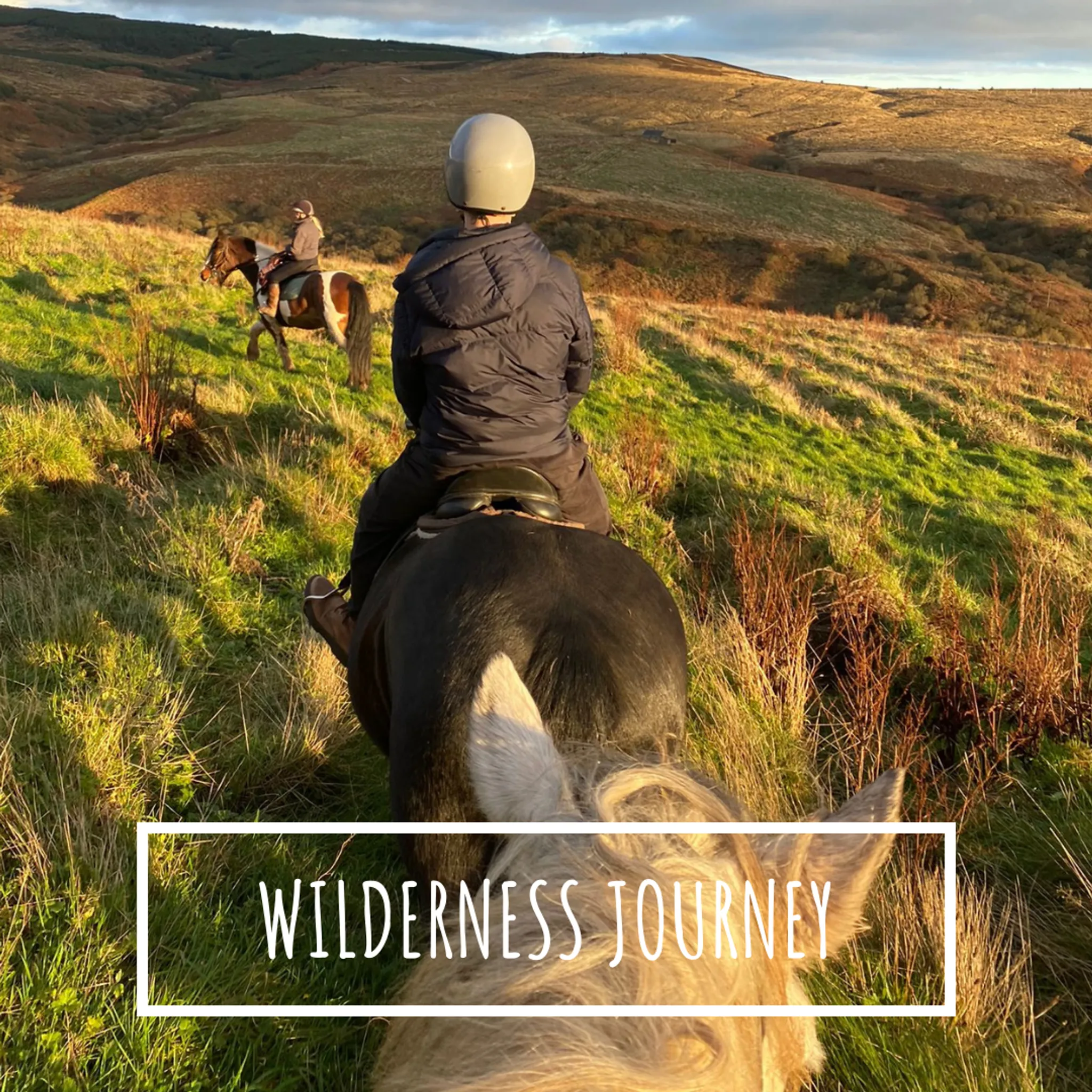Sean Coleman Horsemanship Clinic