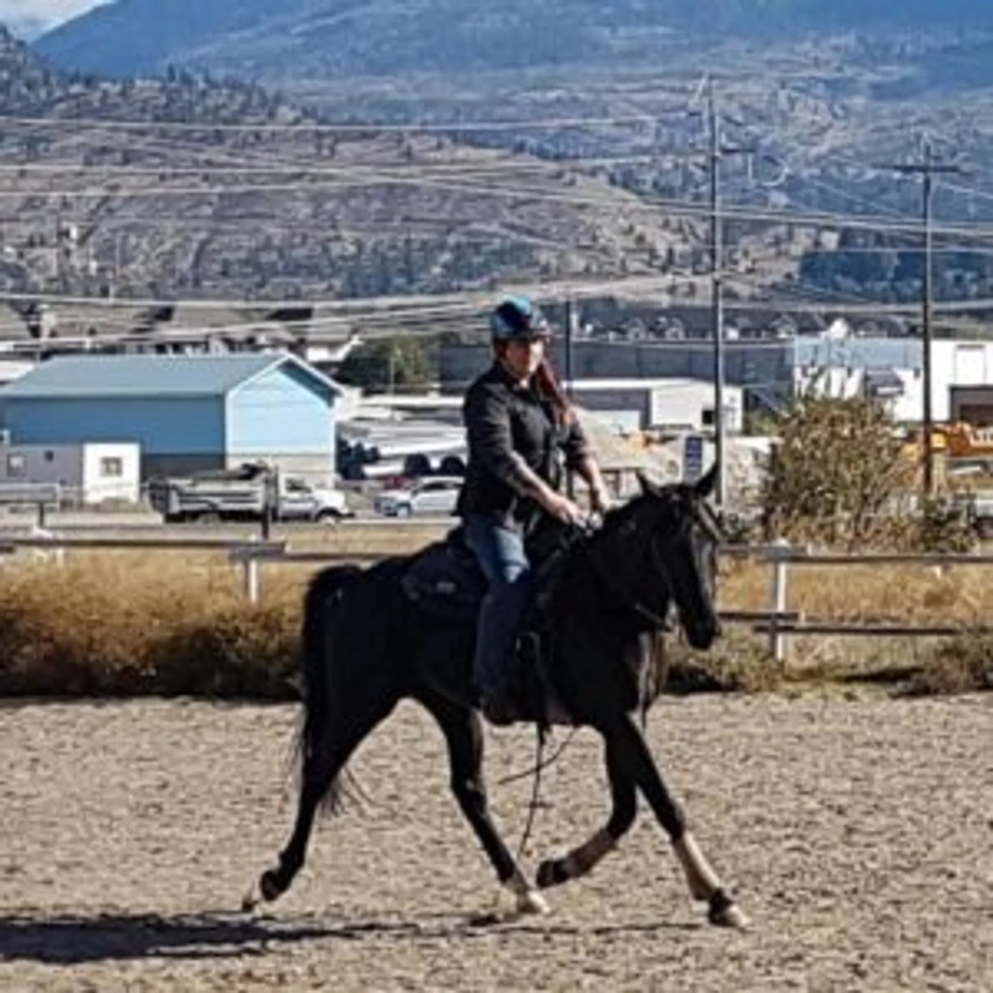 Sagebrush pony parties & events