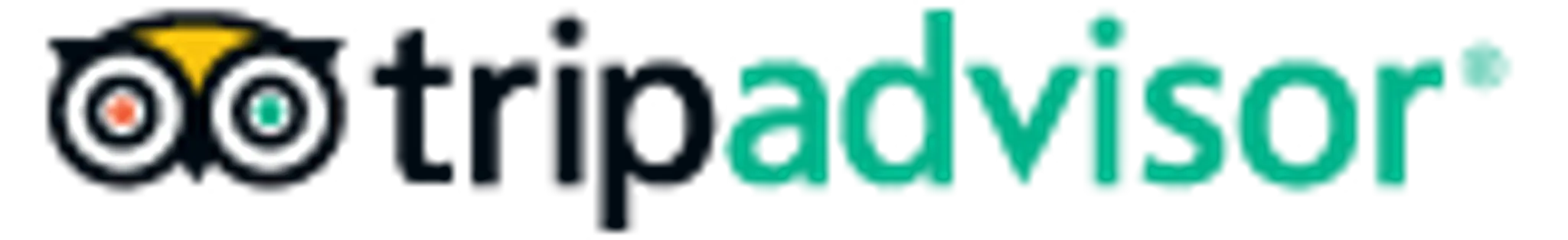 Blackfish Sailing Adventures