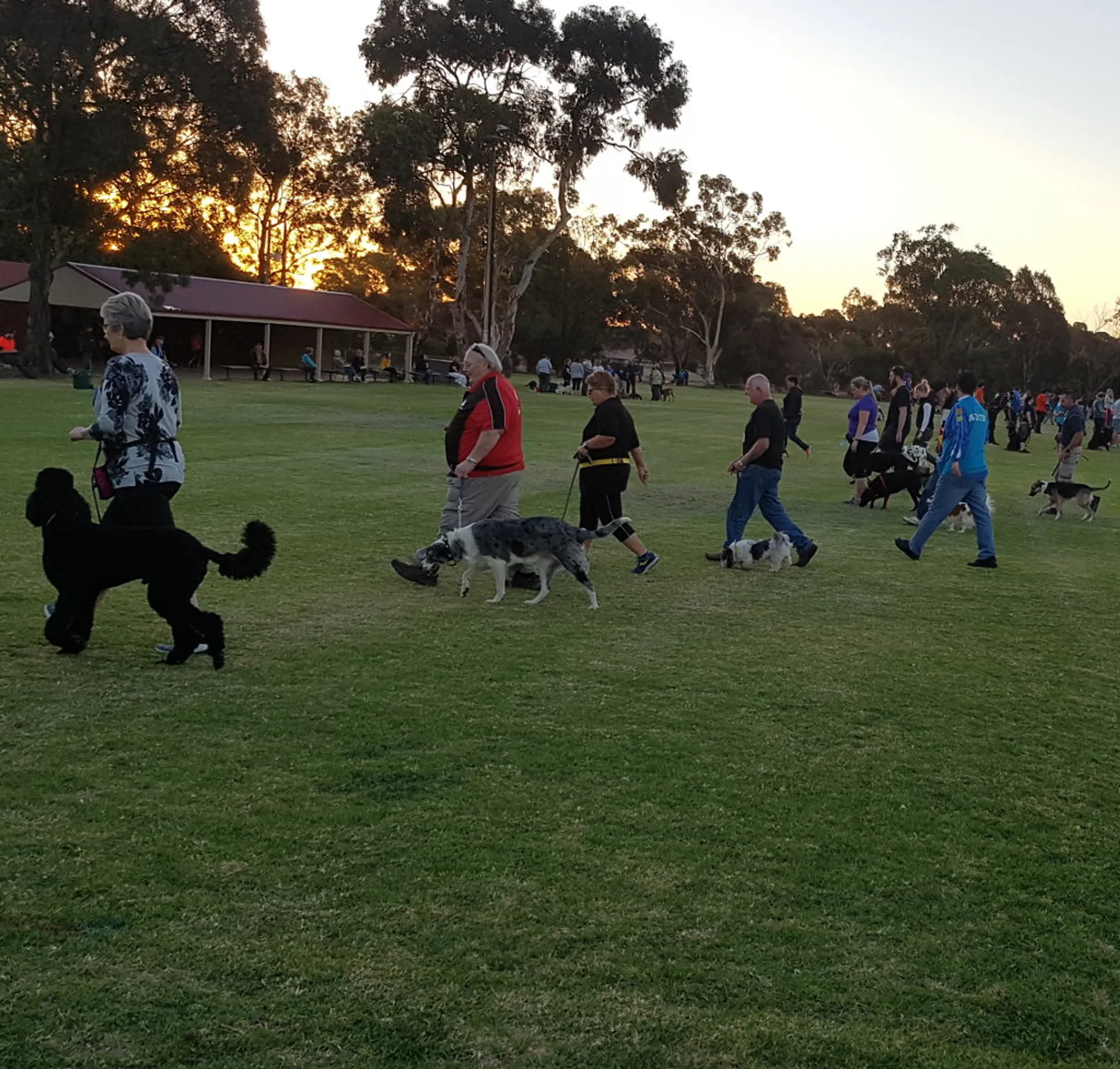 Southern Districts Kennel & Obedience Dog Club Inc.