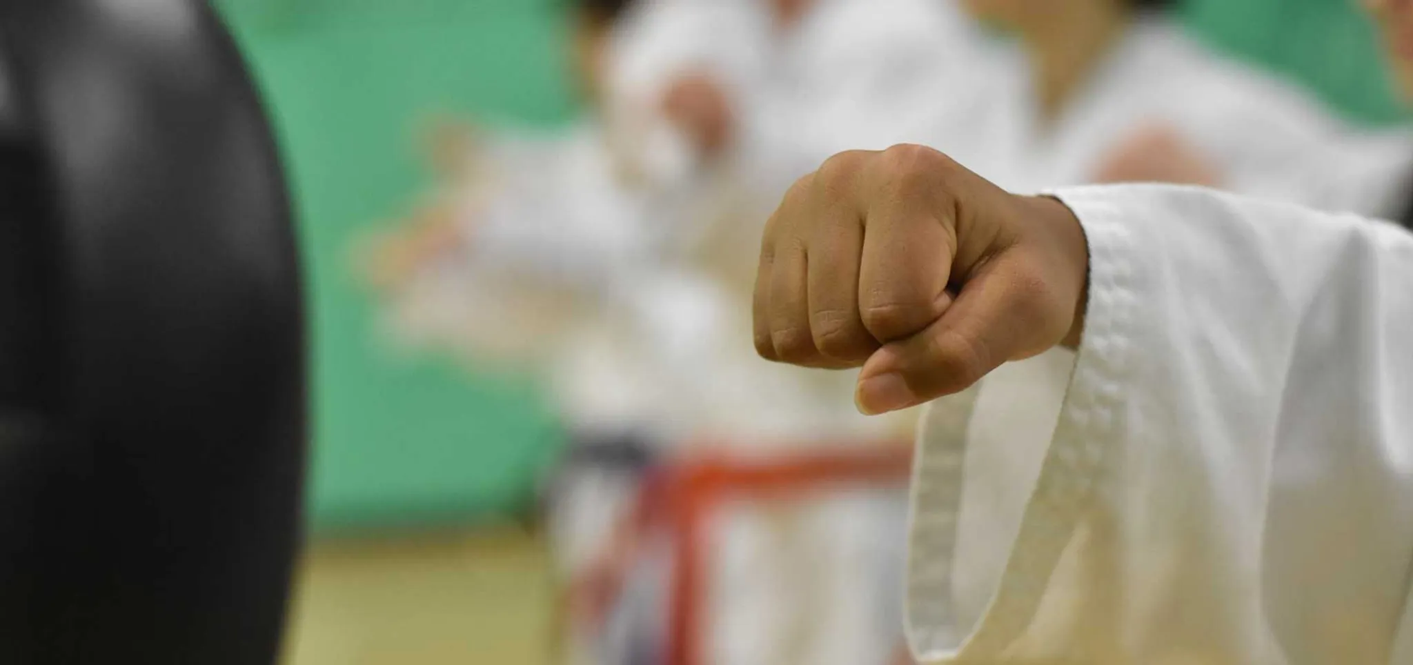 Choi Kwang Do Adult Class